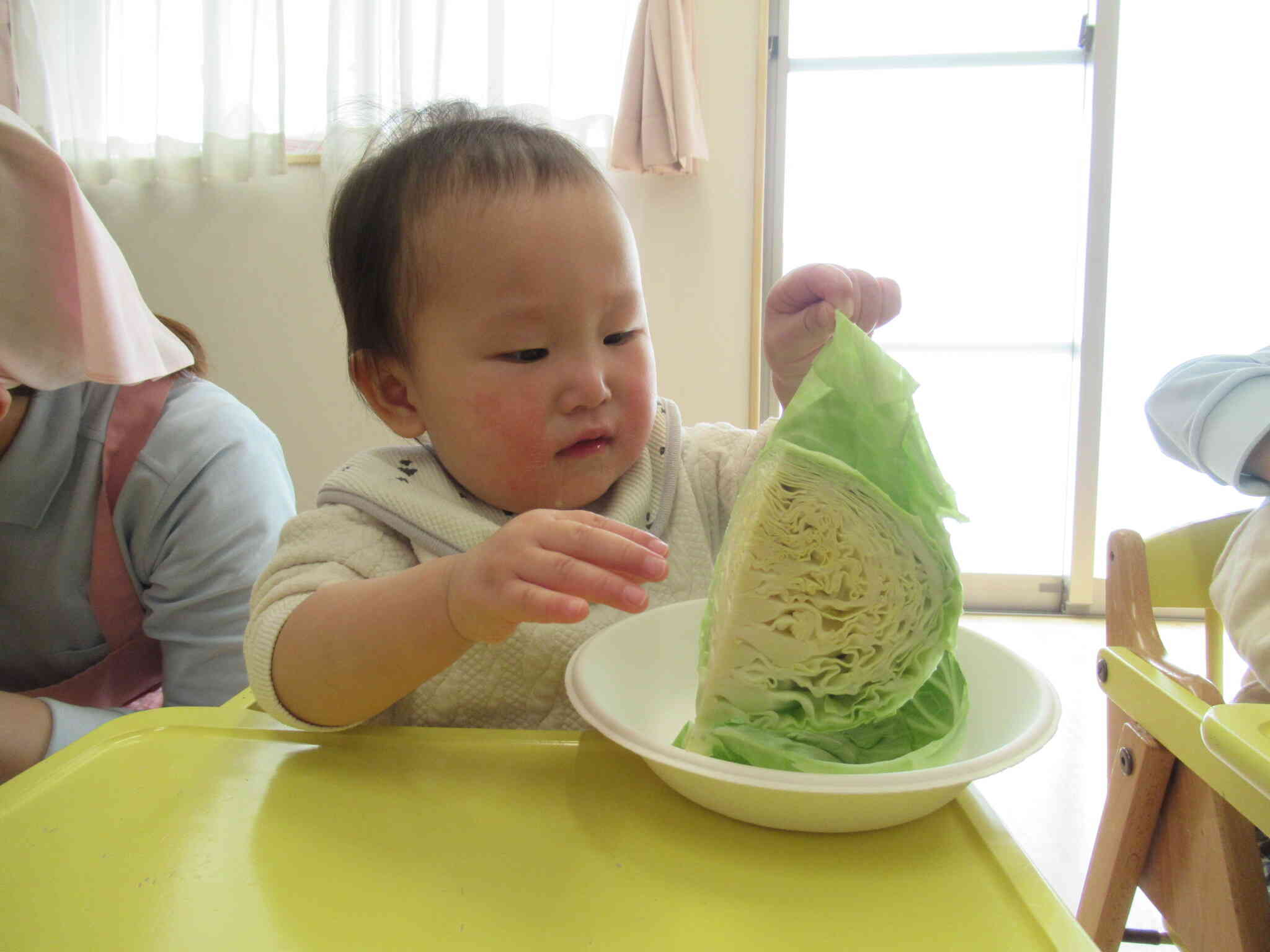 そ～っと持ち上げてみたよ♪はっぱがたくさんあるね！