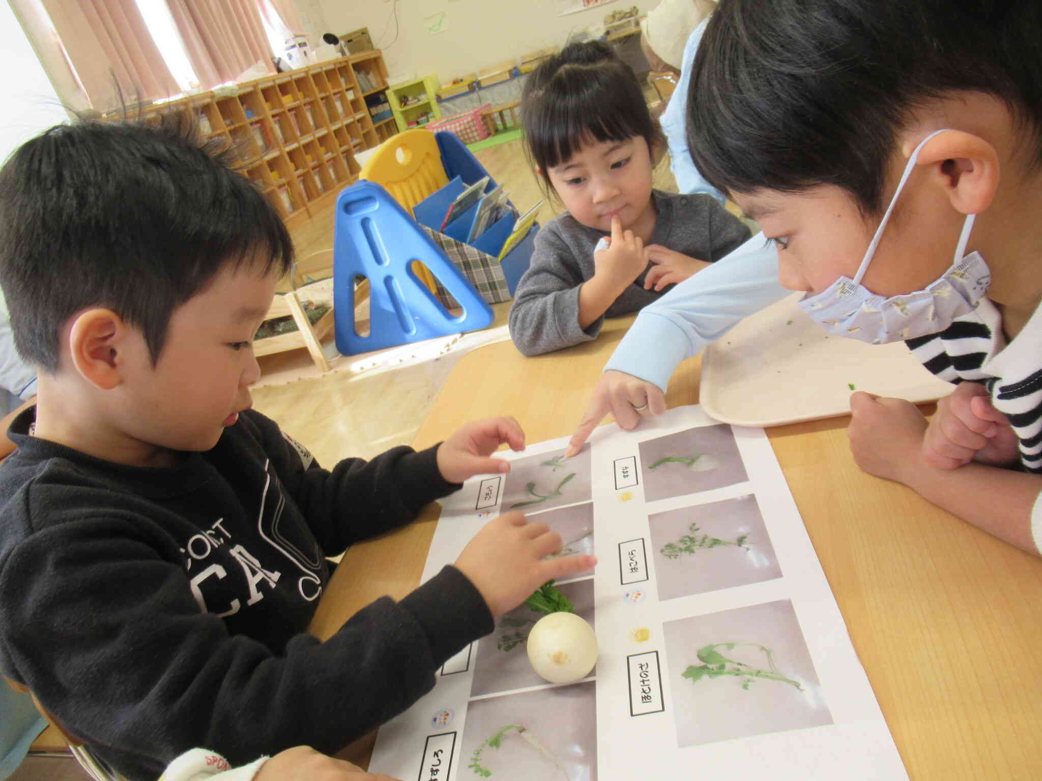 これは何の七草だろう？？