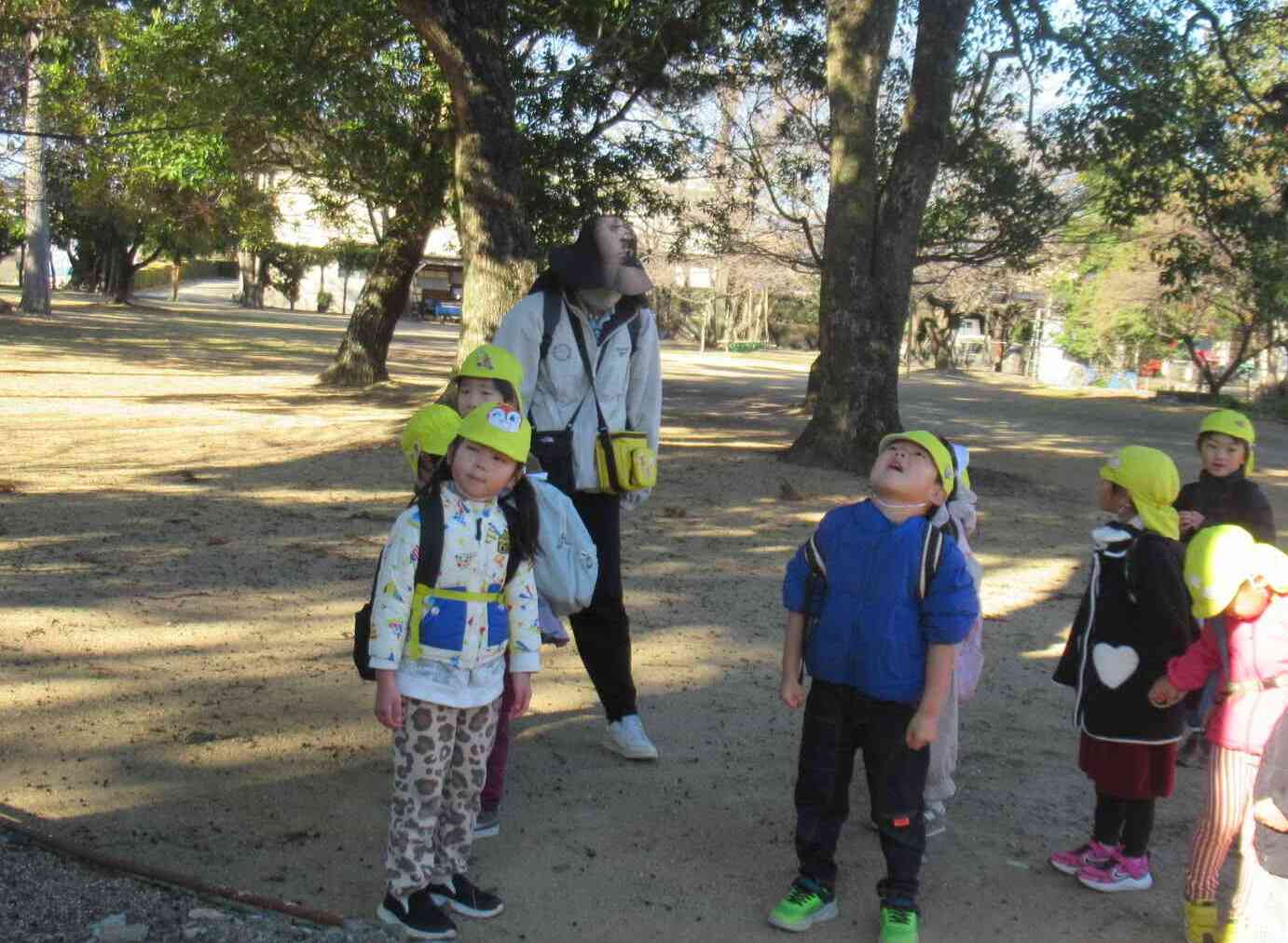 この大きな木、なぁに？くすのき、だよ。トトロみた～い。大きな木だね。100歳くらいかなぁ？