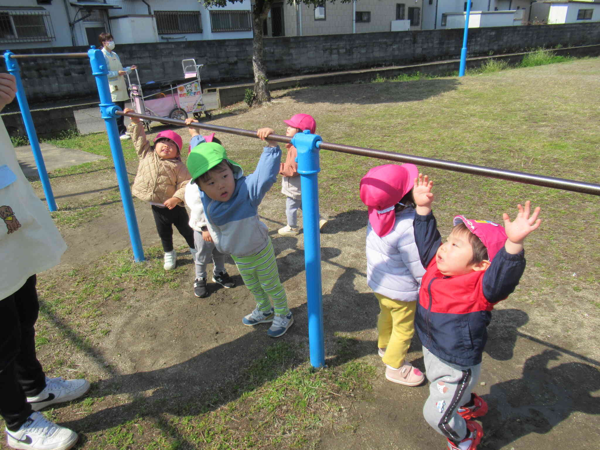 鉄棒に興味津々なあひる組さんとうさぎ組さんです！