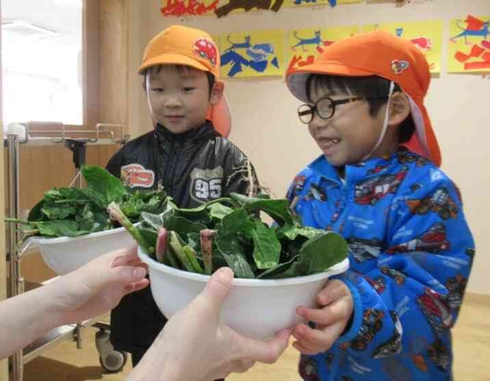 ほうれん草を給食室へ持っていこう！