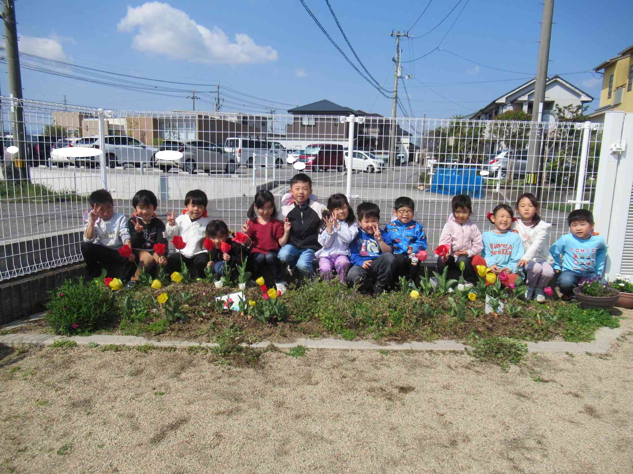チューリップもきれいに咲きました♪