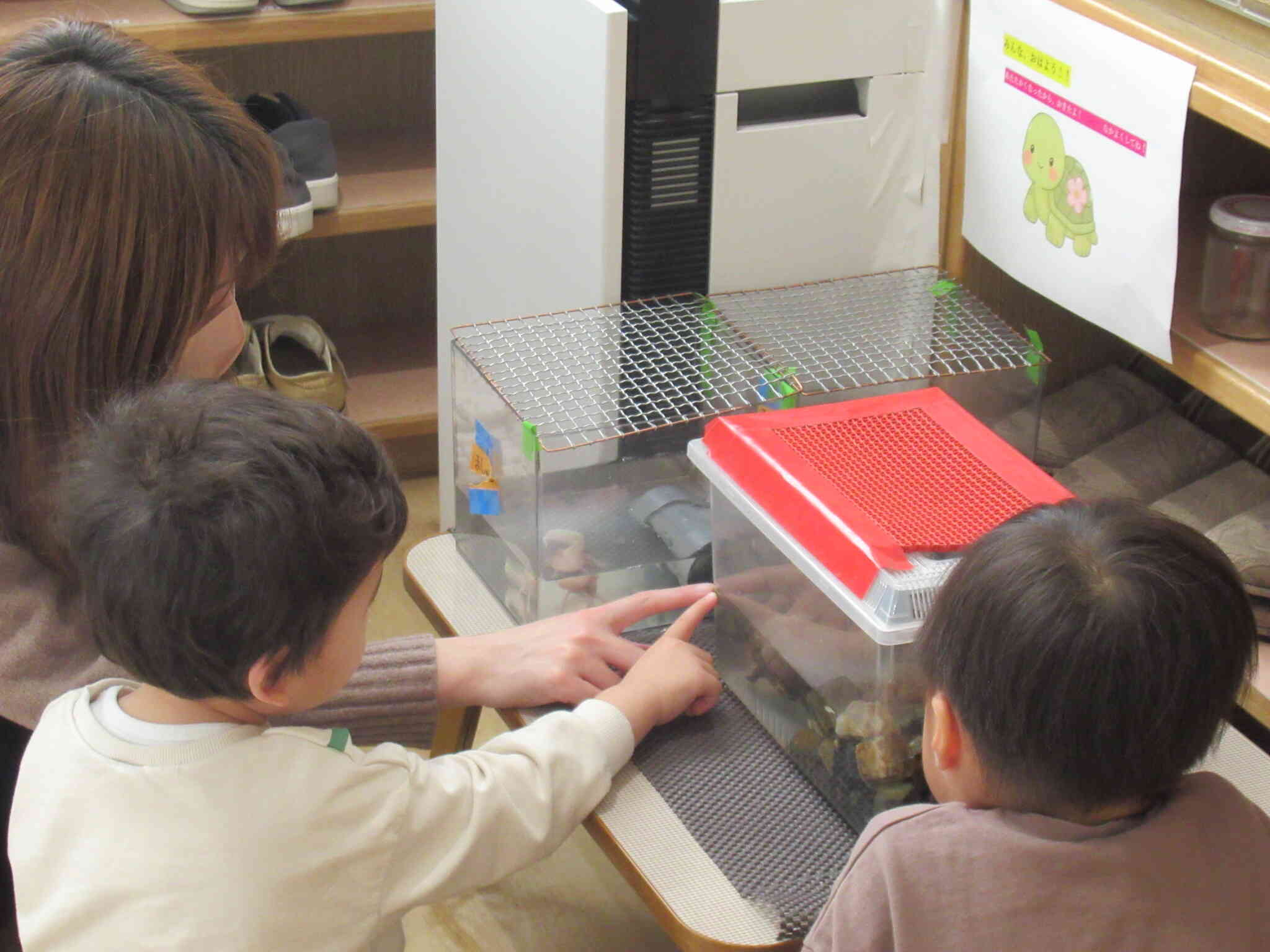 冬眠していた人気者のカメさん。春になってあたたかくなったから、ついにお目覚めです。みんながカメさんに話しかけたり、ごはんをあげたり・・・相変わらず人気者です。