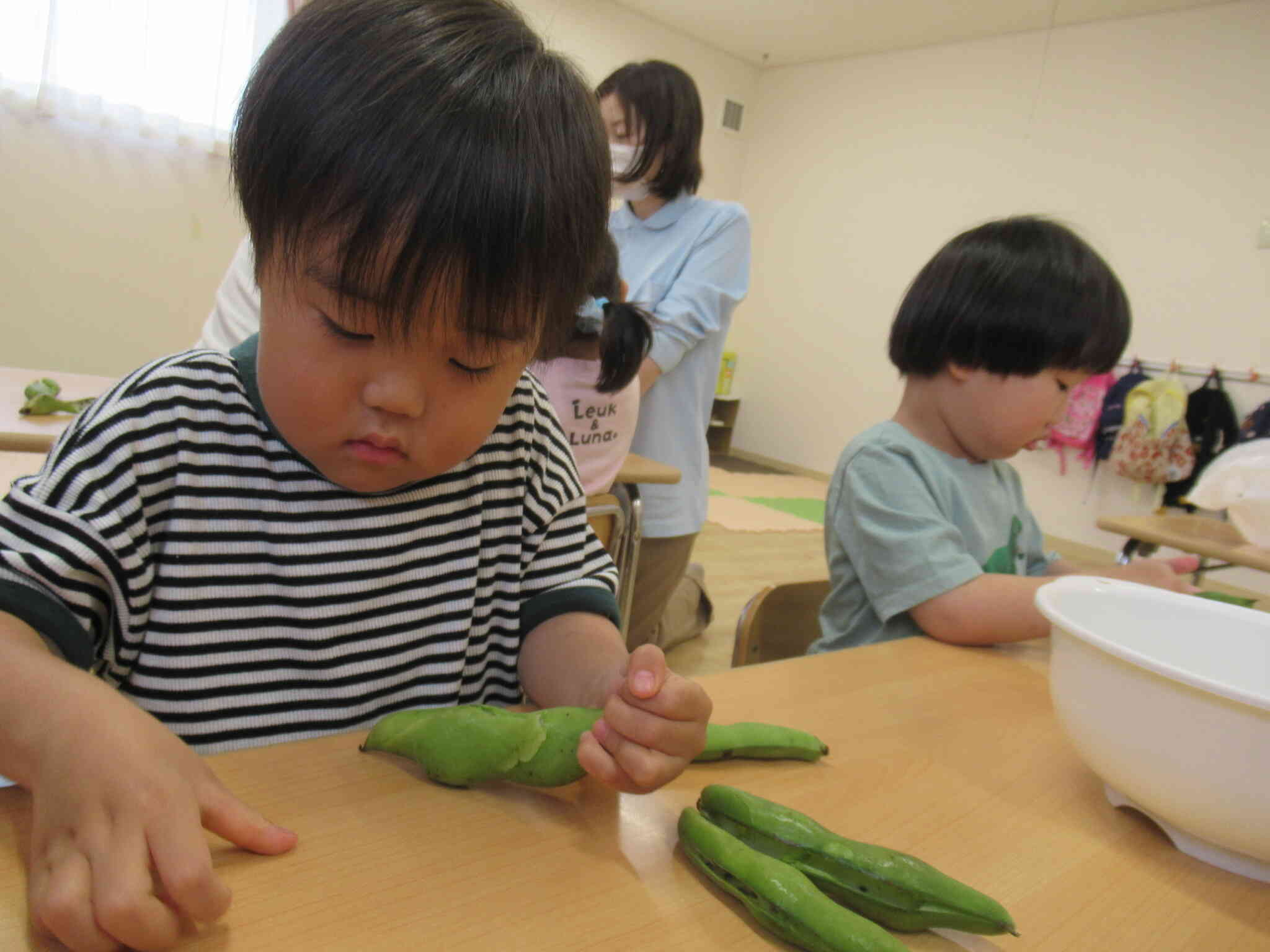 いろんな大きさのそらまめを発見！！