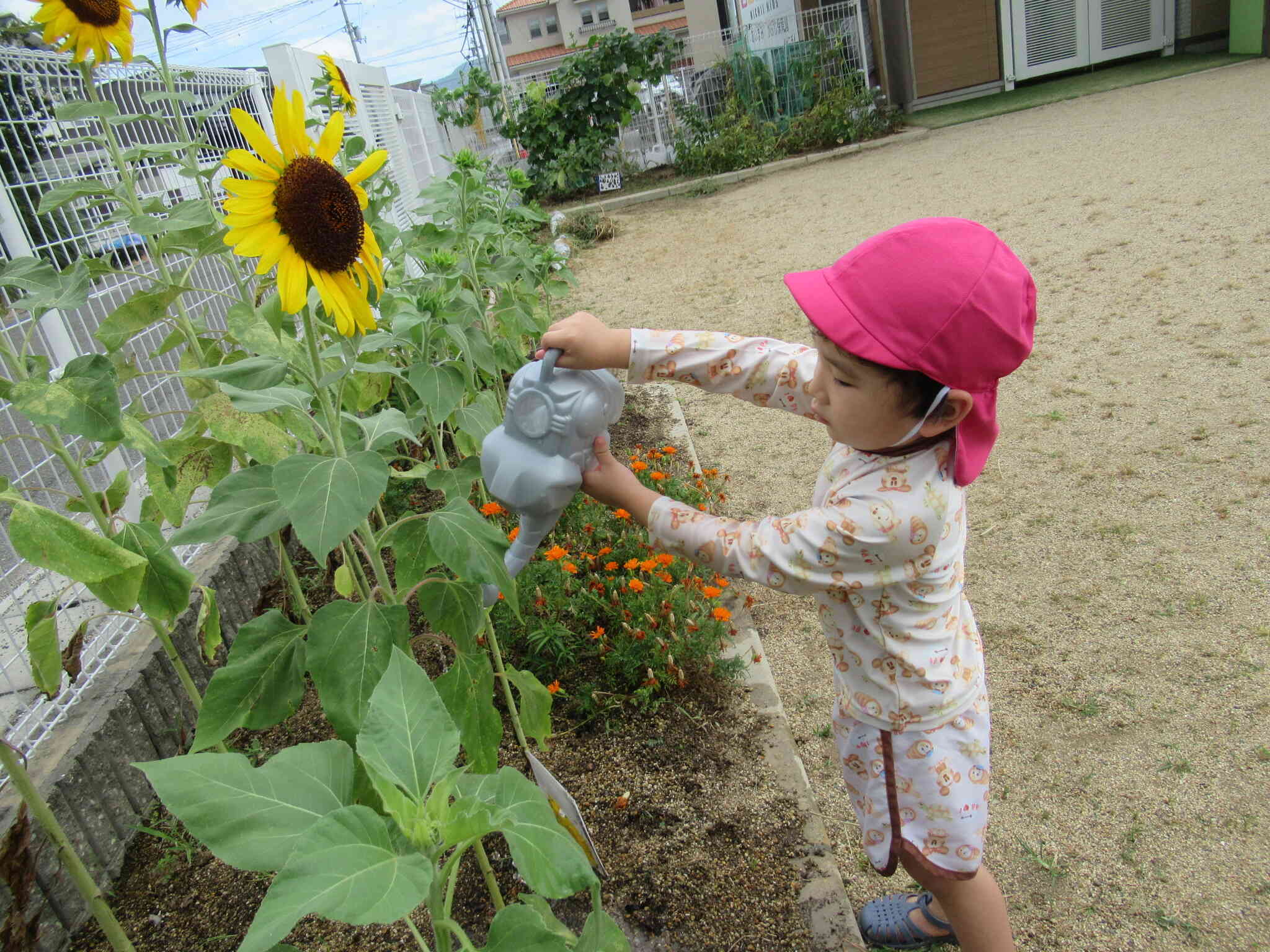 大きくなあれ～♪