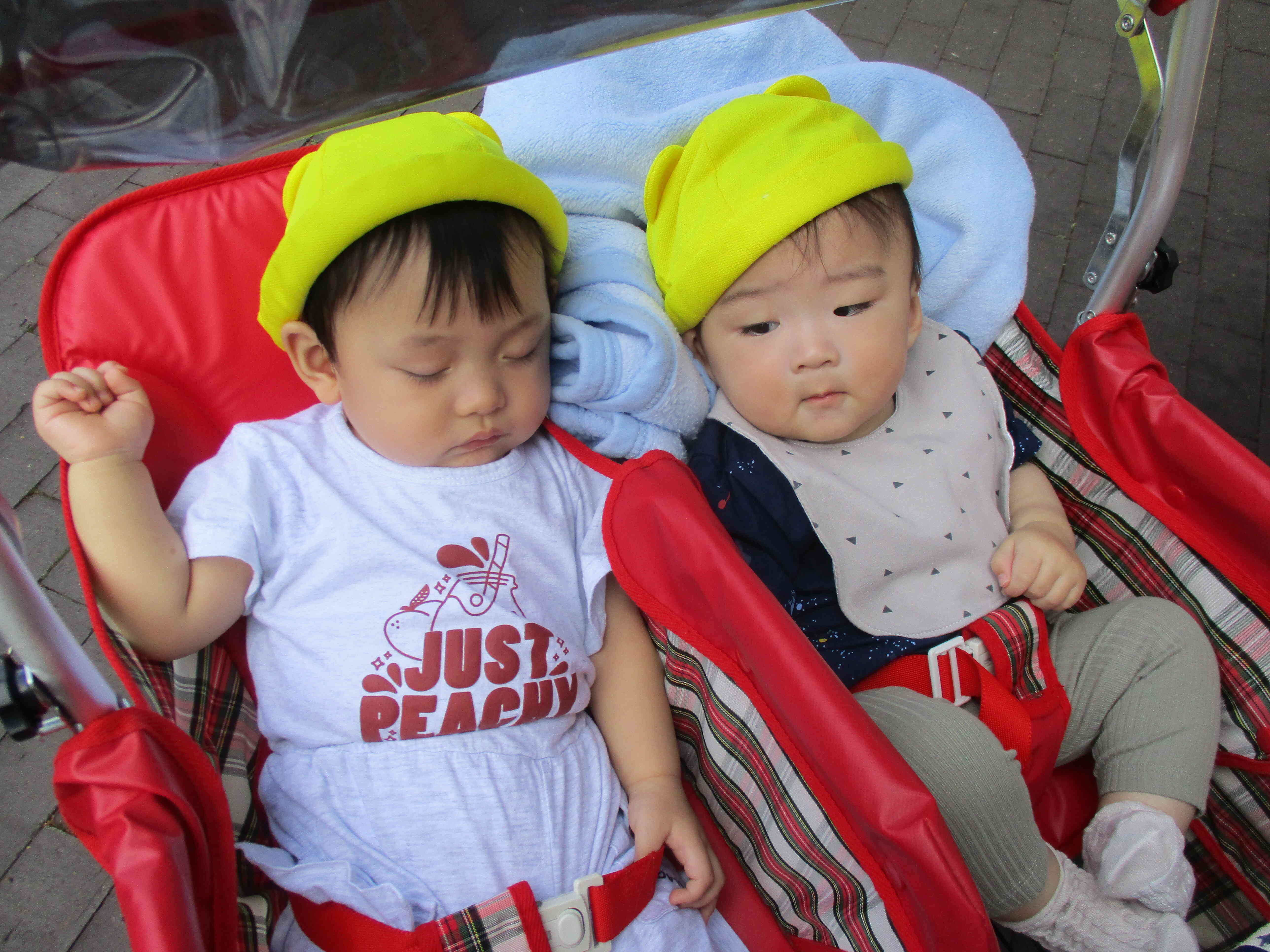 バギーに揺られてスヤスヤ…Zzz