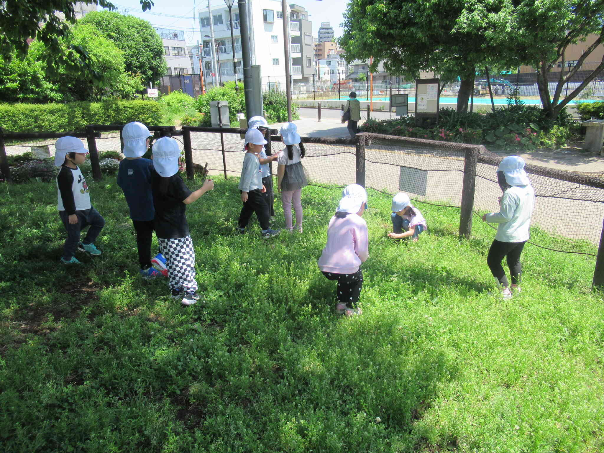 ５歳児　お花だいすき！