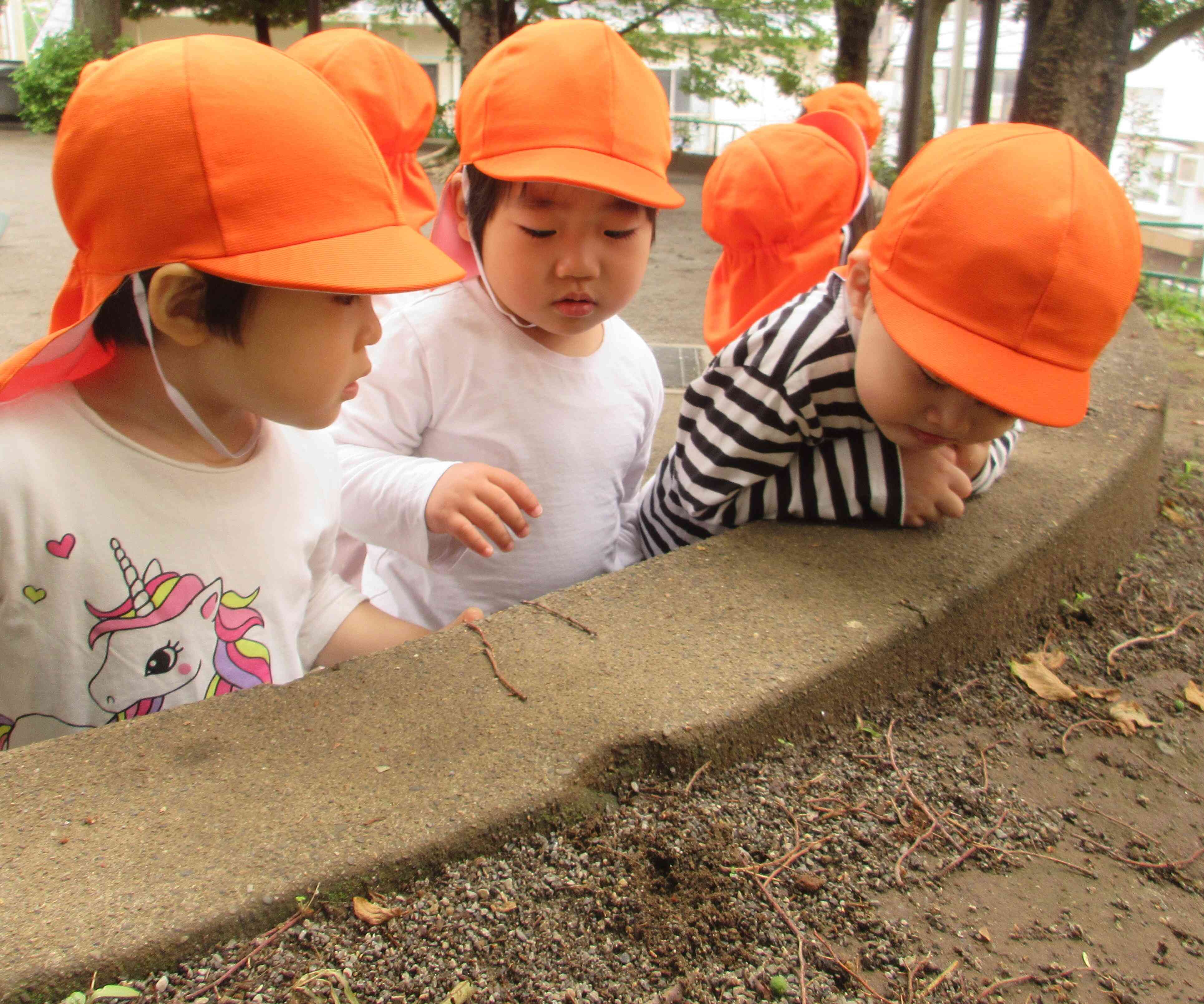 2歳児　公園探索