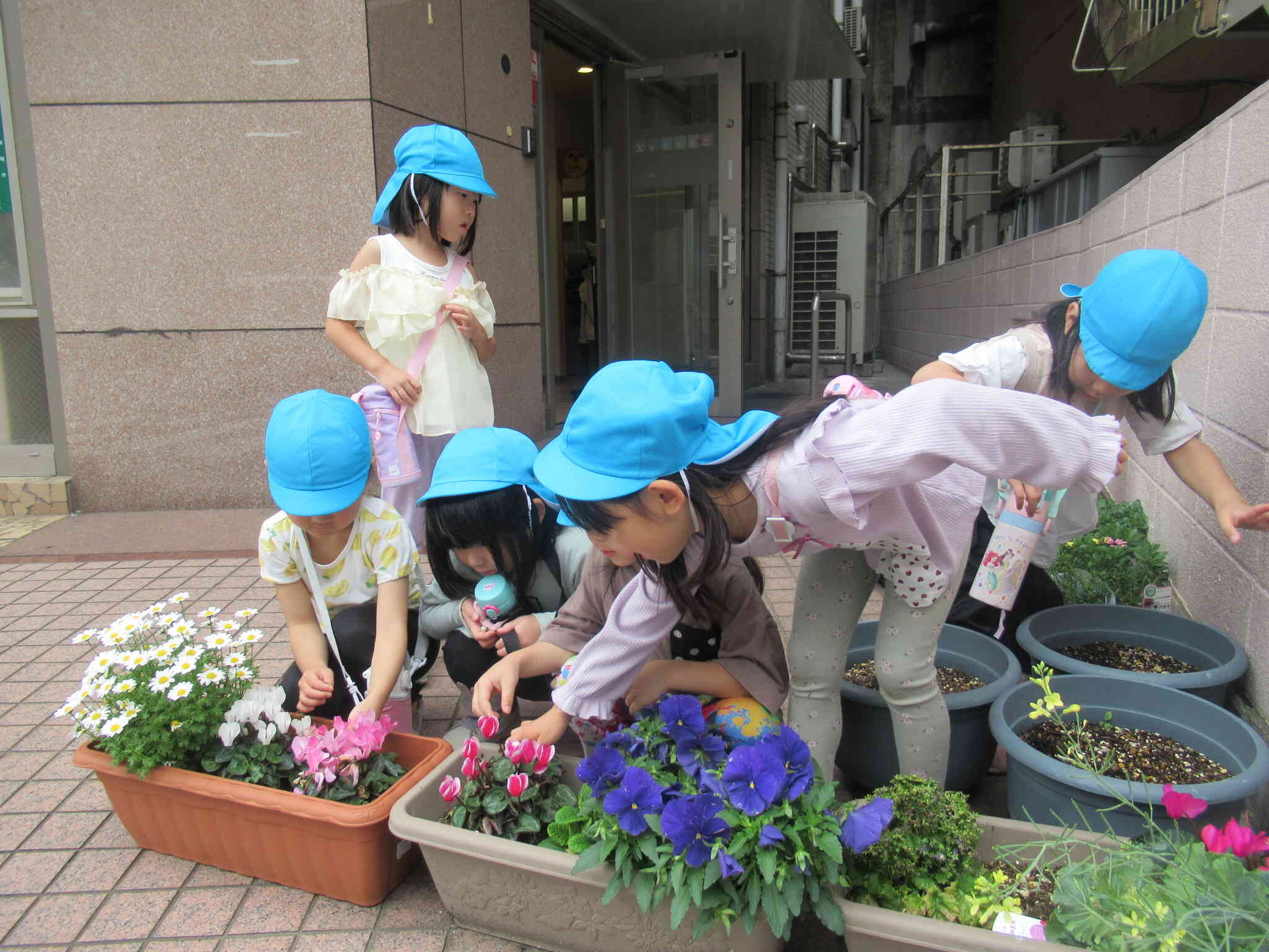 保育園の玄関にも
