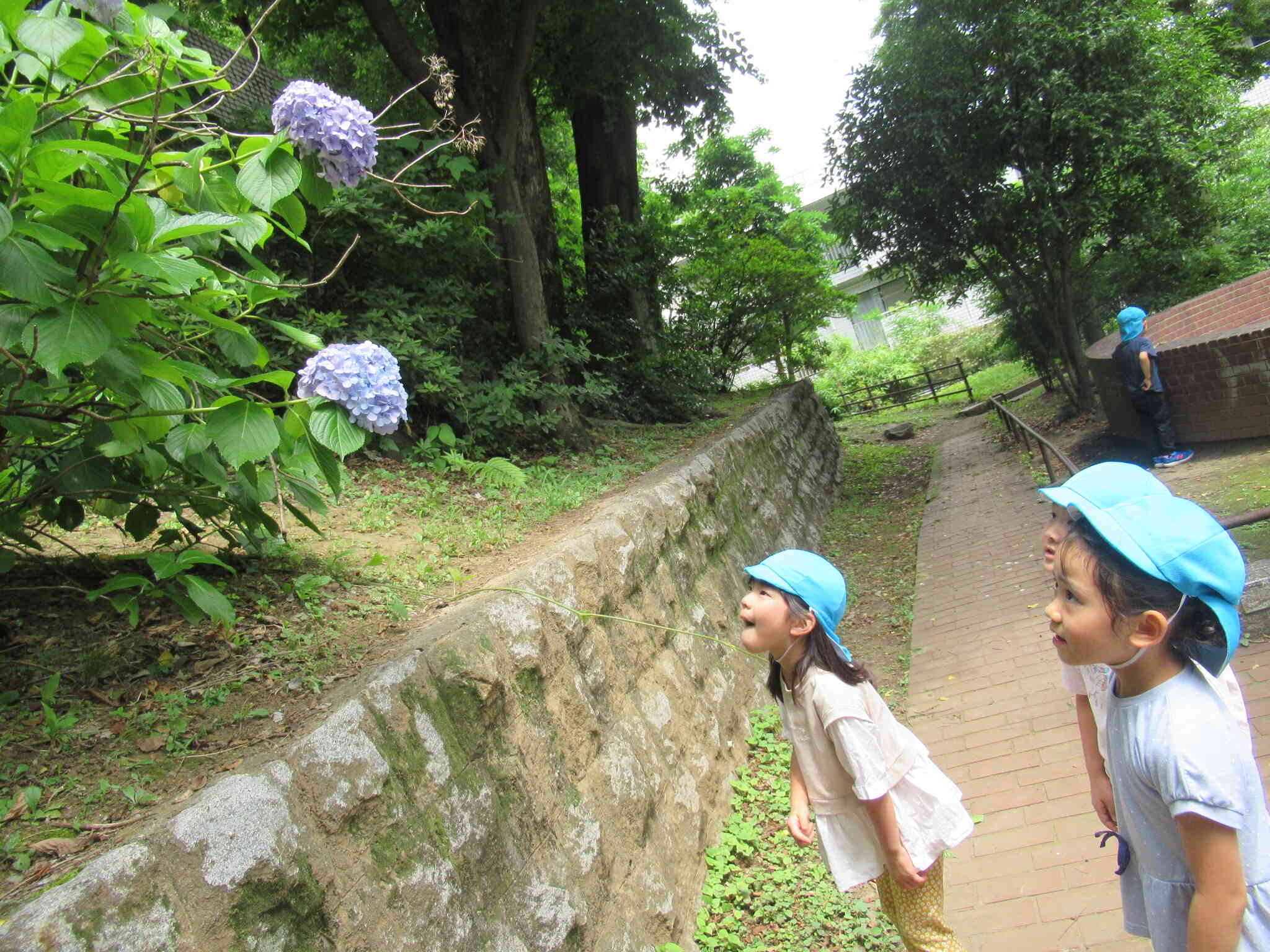 5歳児　暑い日も元気いっぱい！