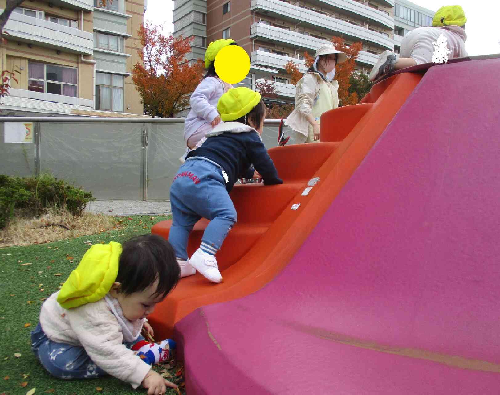 0歳児 ひよこ組 戸外遊びの様子