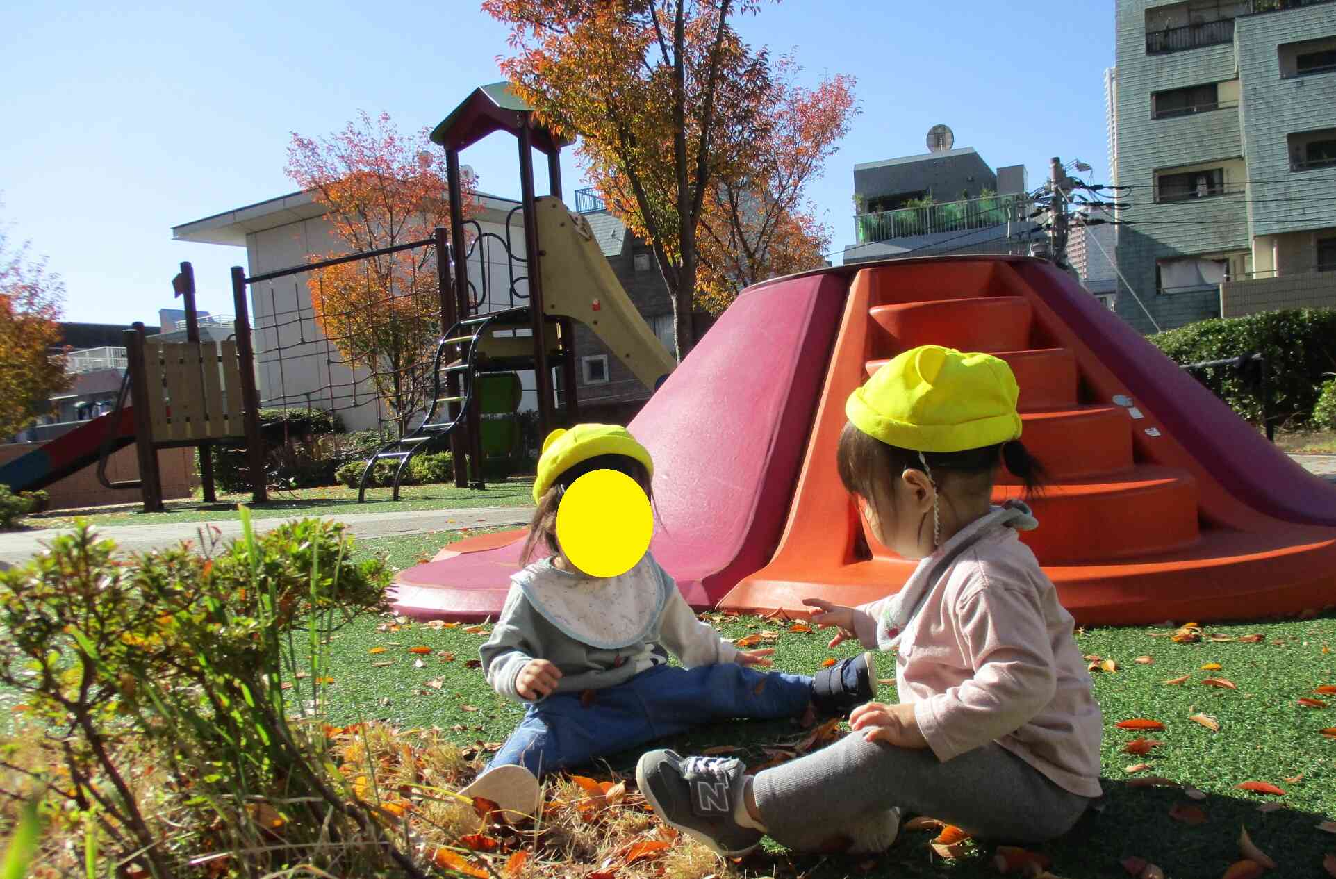 葉っぱの色がきれいだね。