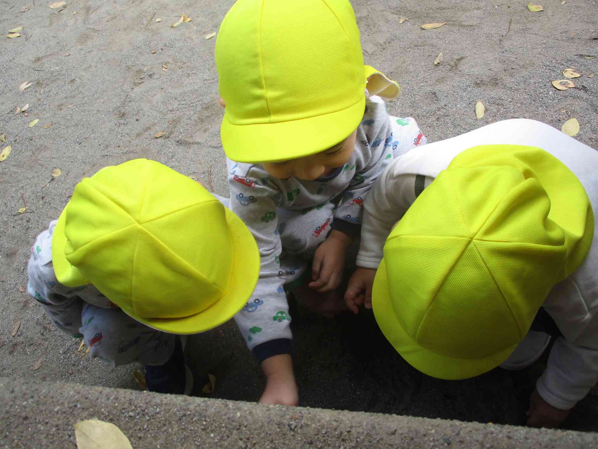 1歳児　うさぎ組　小さい秋見つけた♪