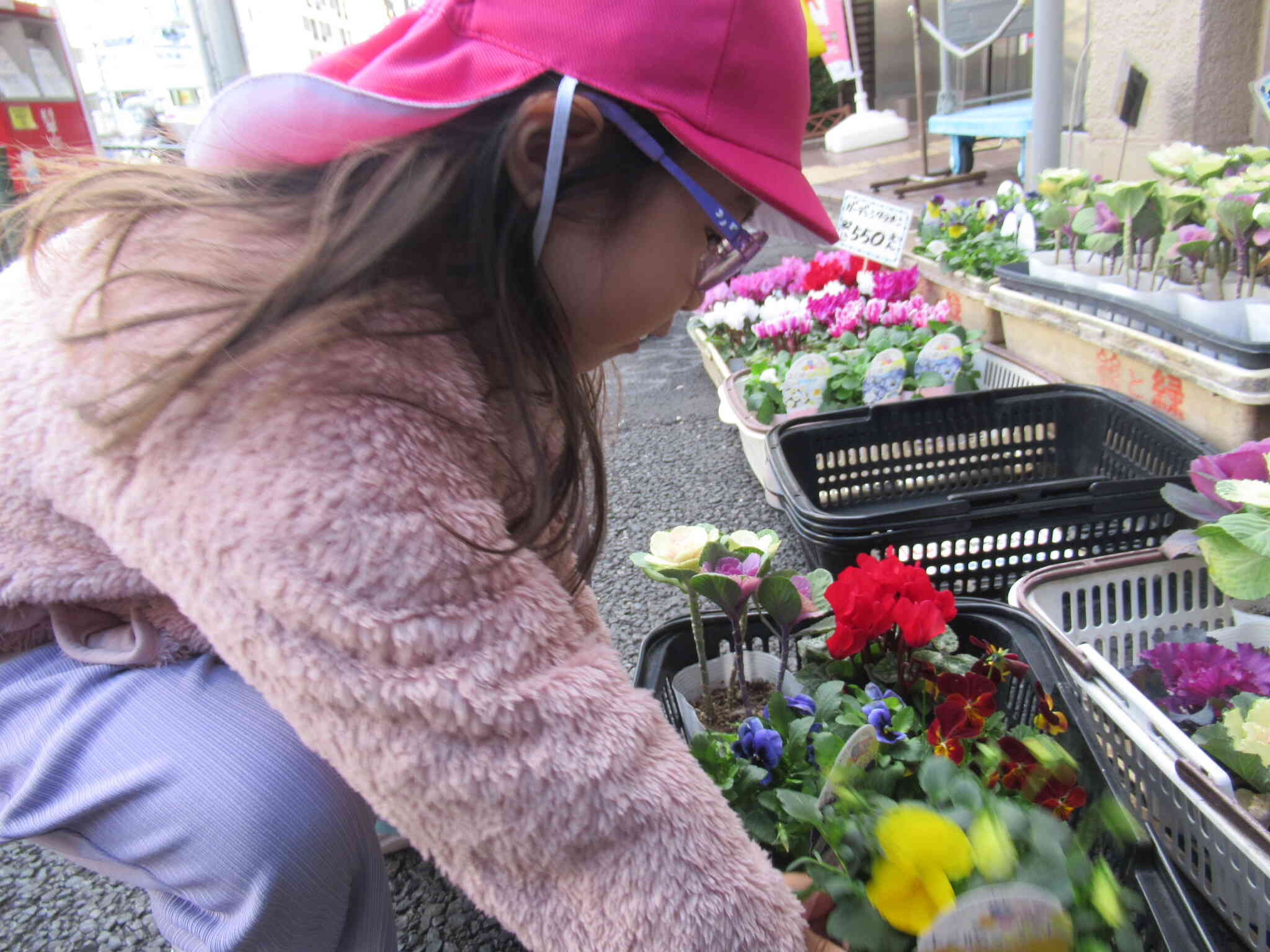 4・5歳児　お花を育てよう！