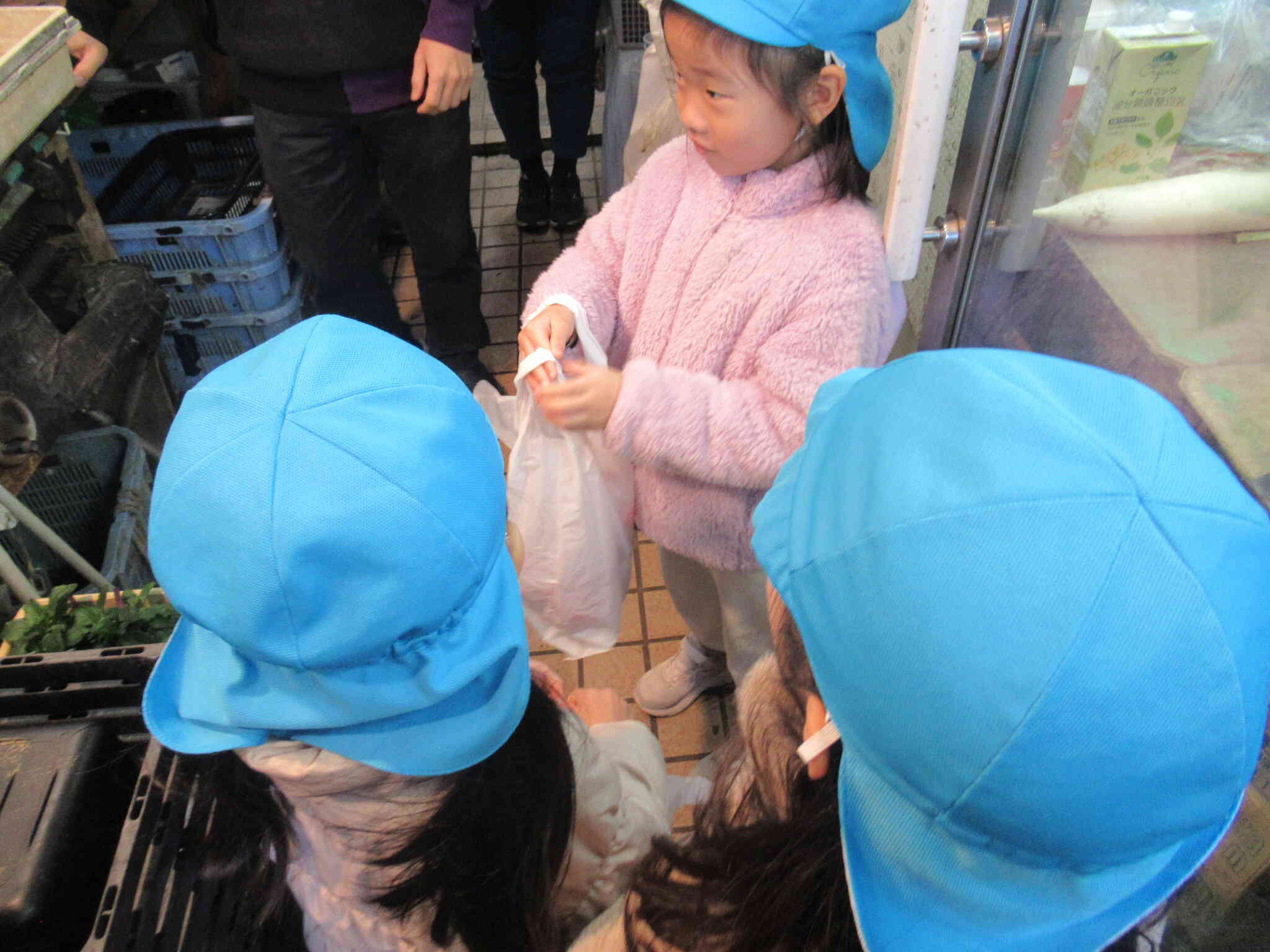 ポインセチアも！