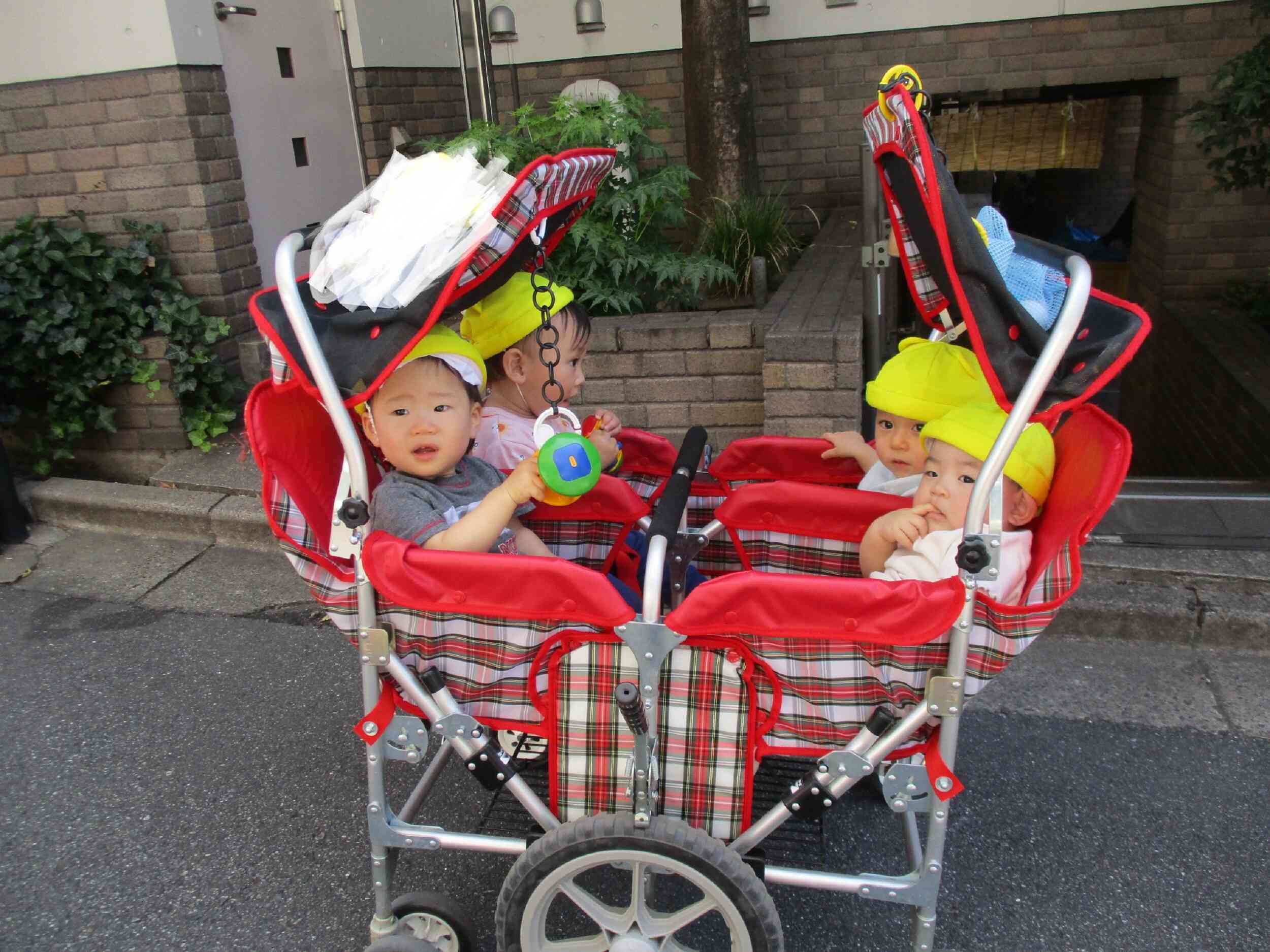 0歳児 ひよこ組 お散歩楽しいな♪