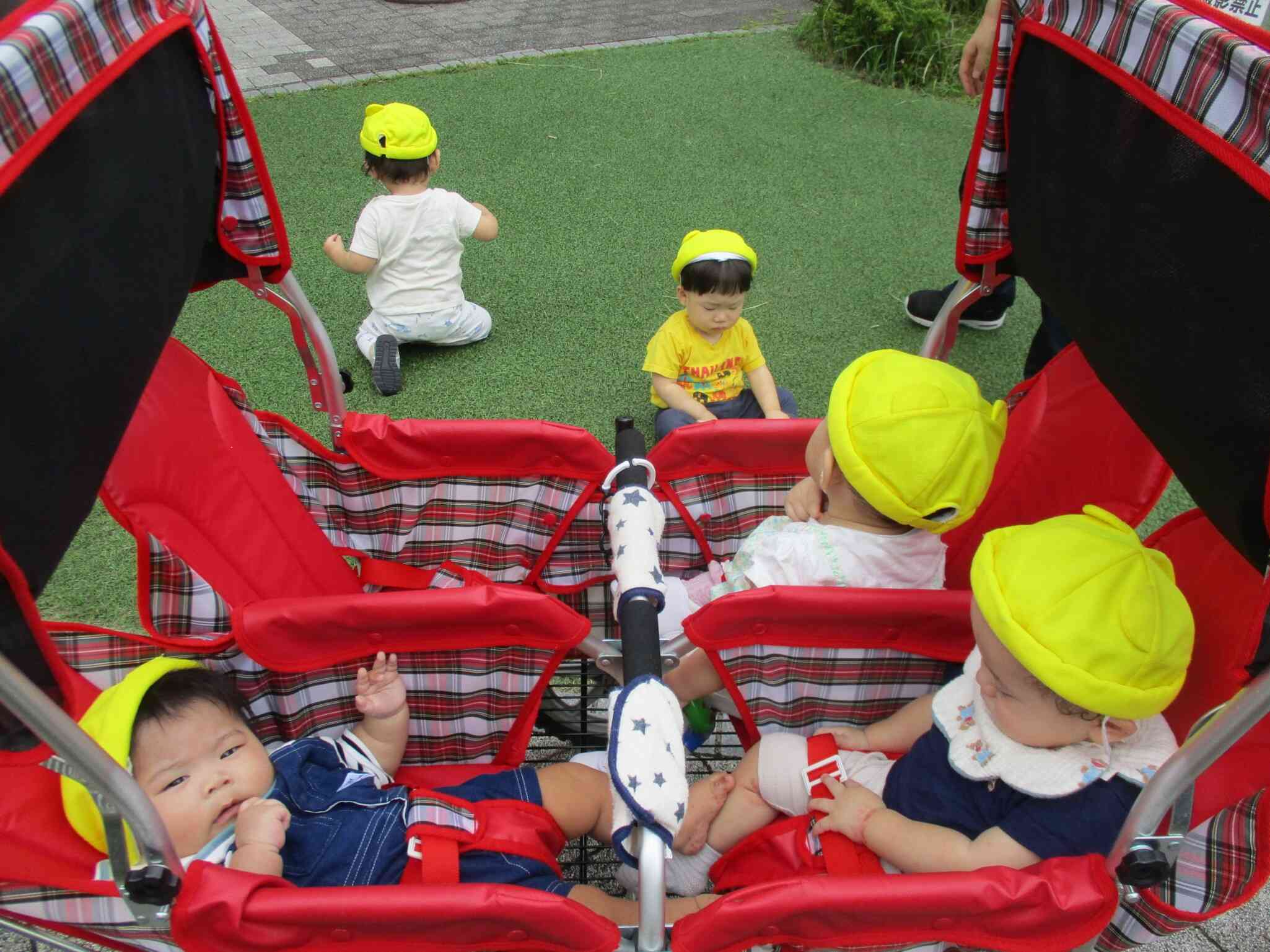０歳児　ひよこ組　初めて公園へ