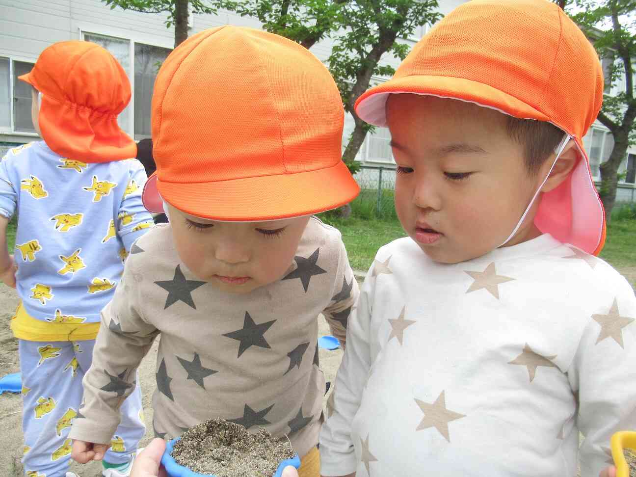 砂を掘っていくと幼虫を発見！興味深々です。