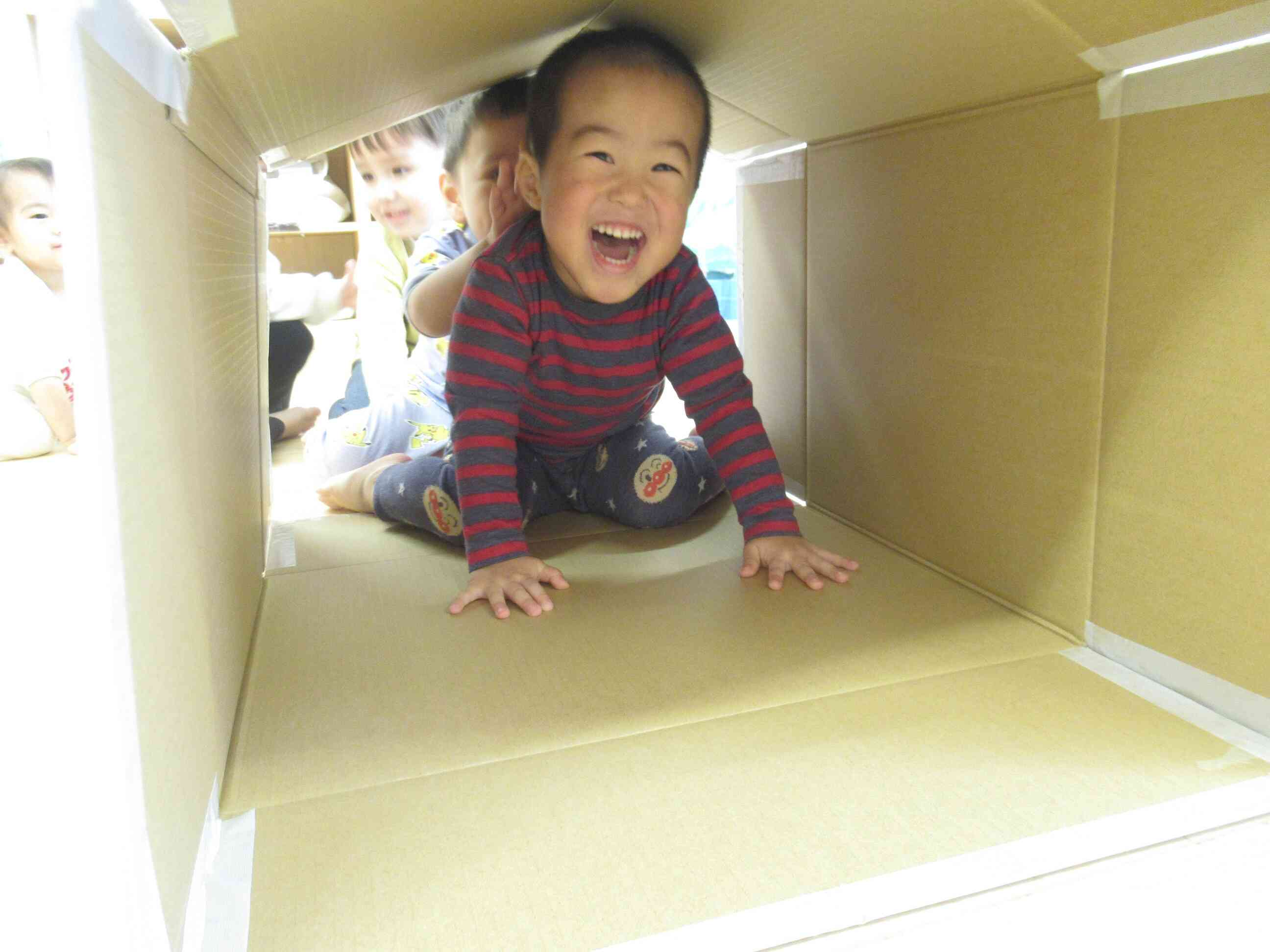 大きいトンネル、見つけちゃった。