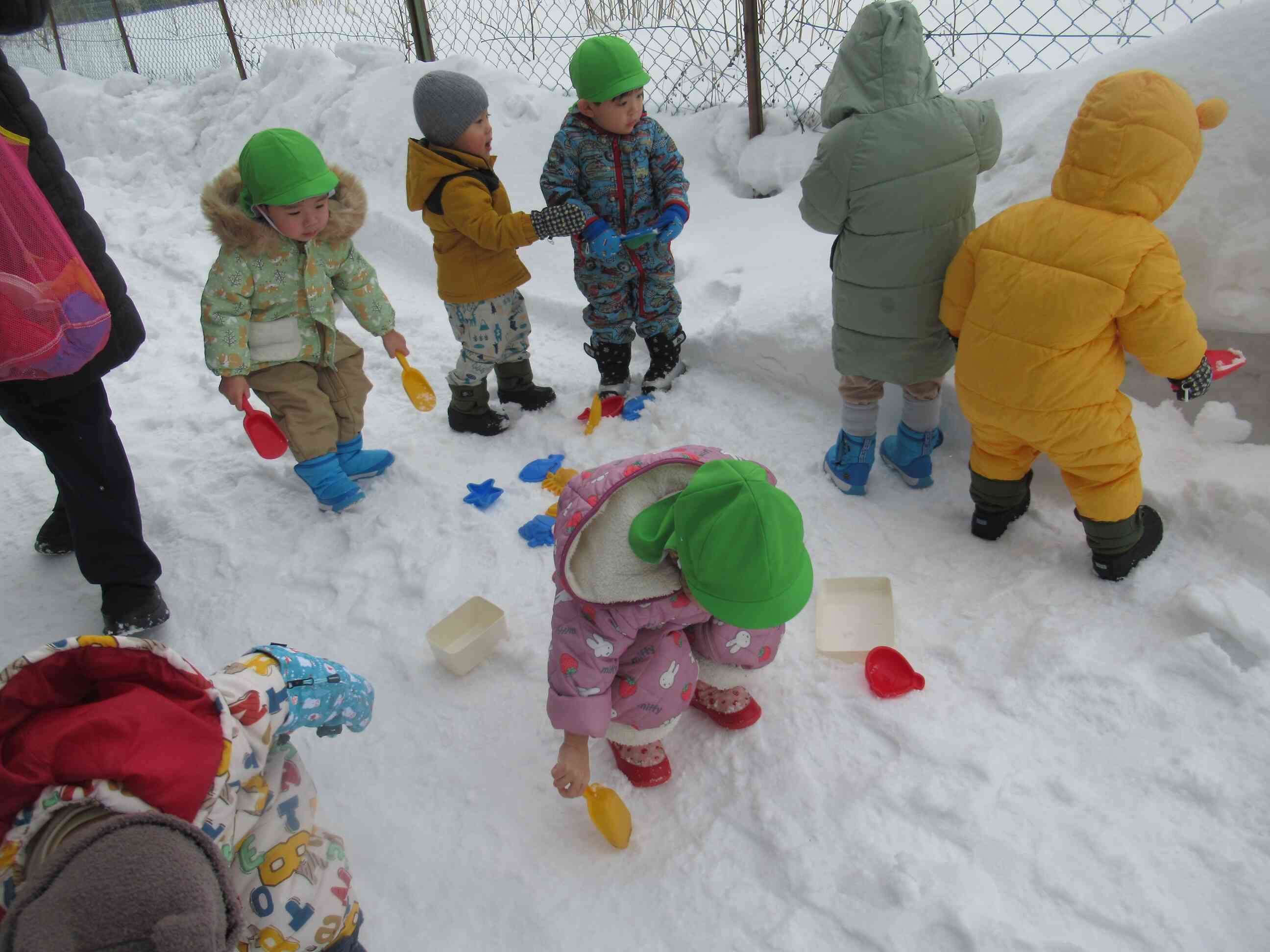 秋田の雪を満喫中！