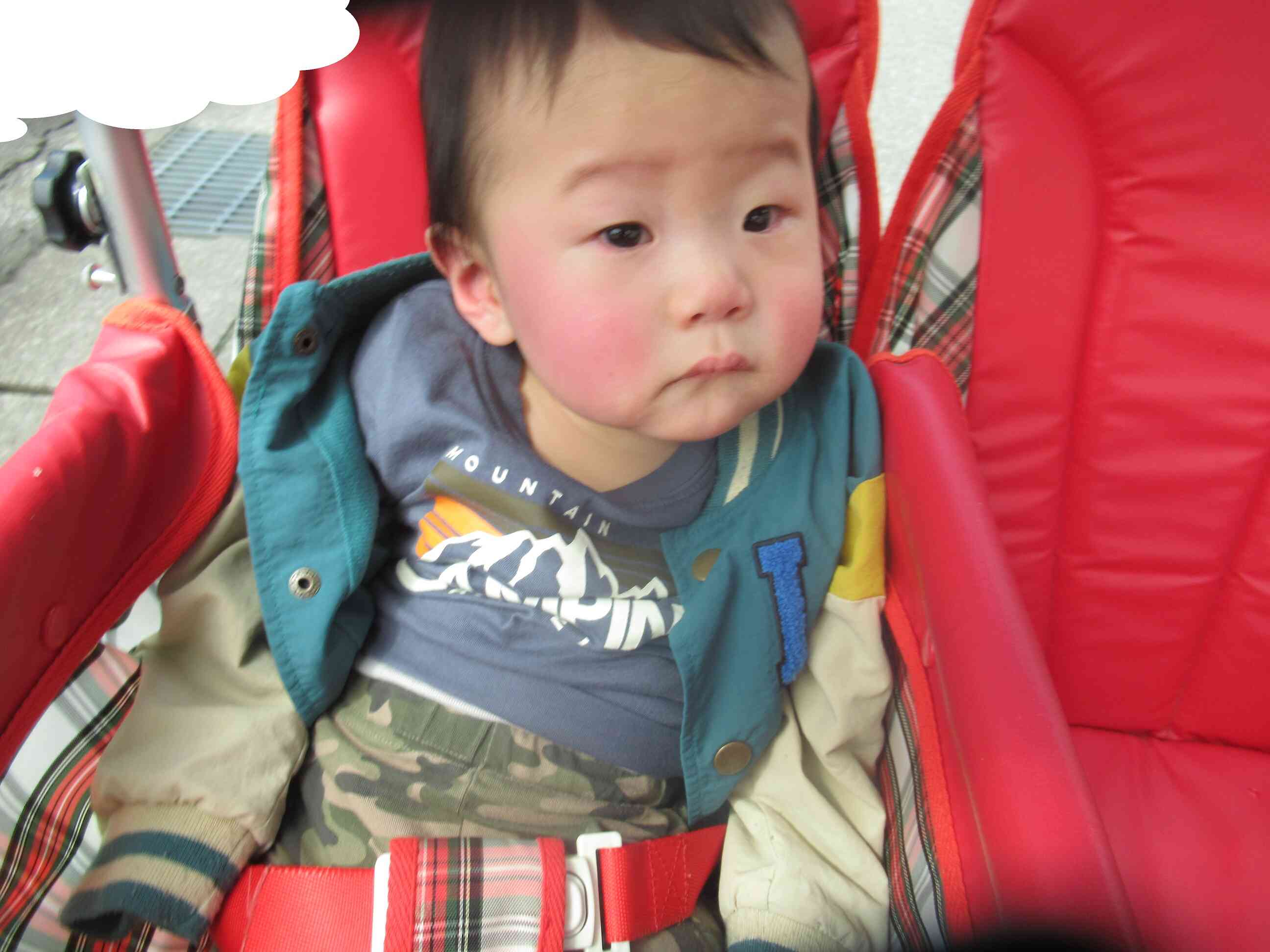 お散歩きもちいね