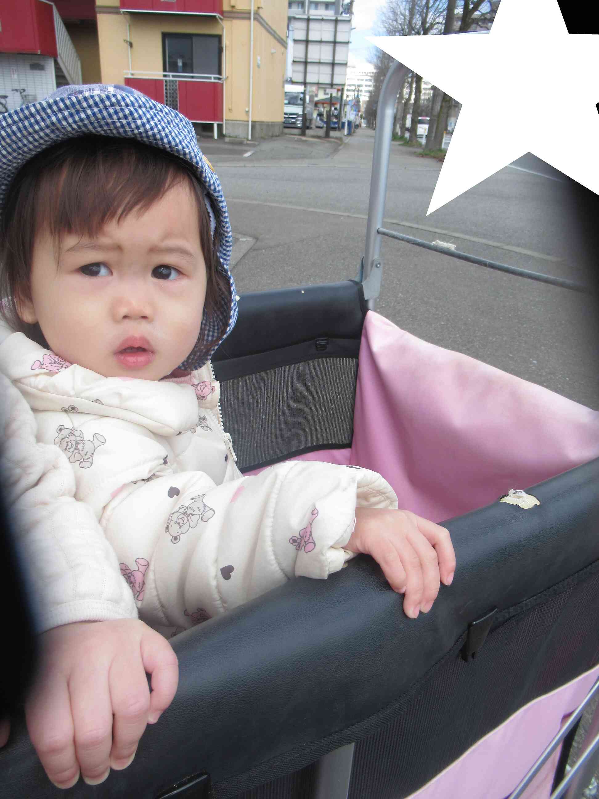 散歩車からの眺めもいいな…