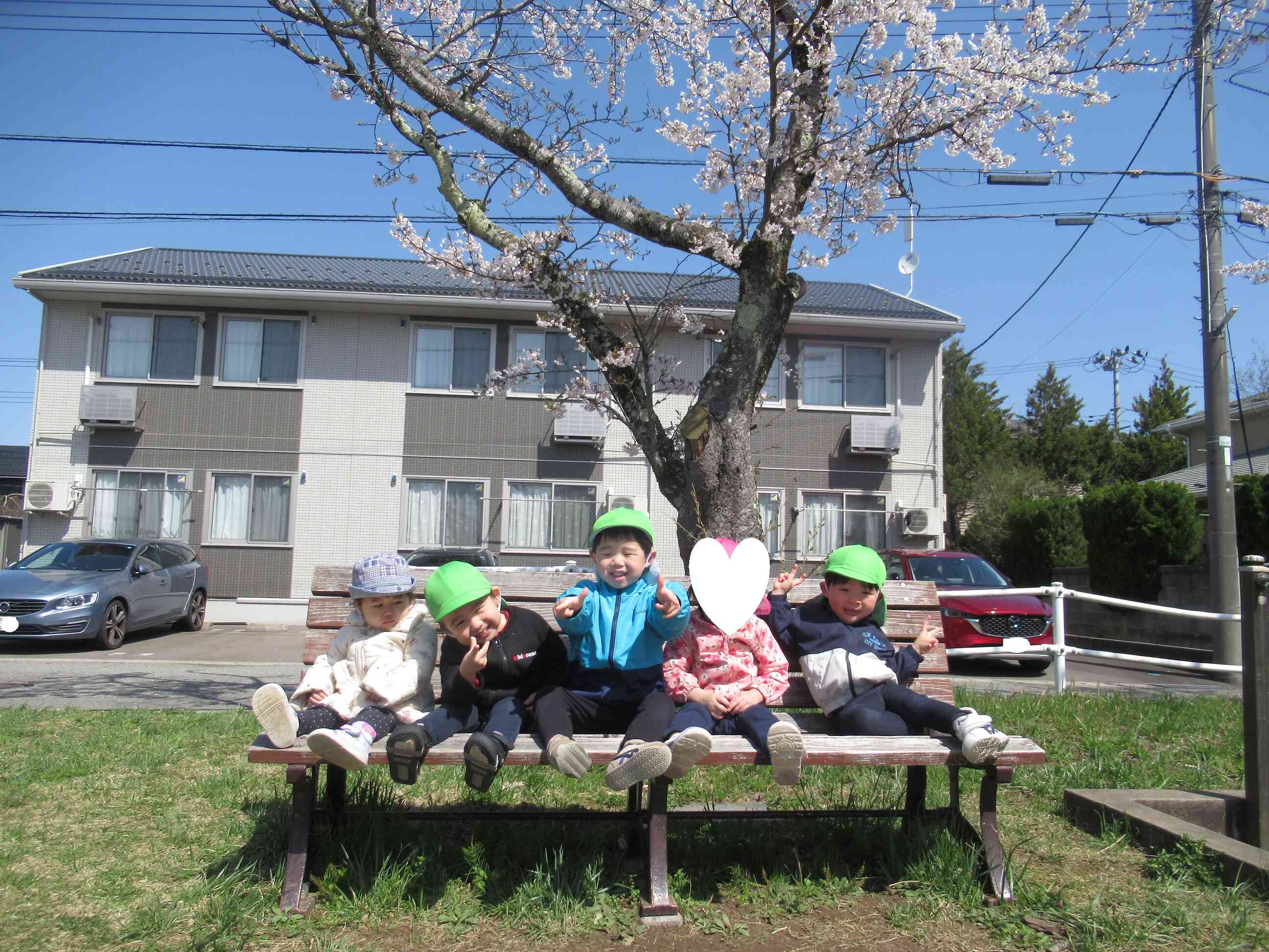桜満開春爛漫！