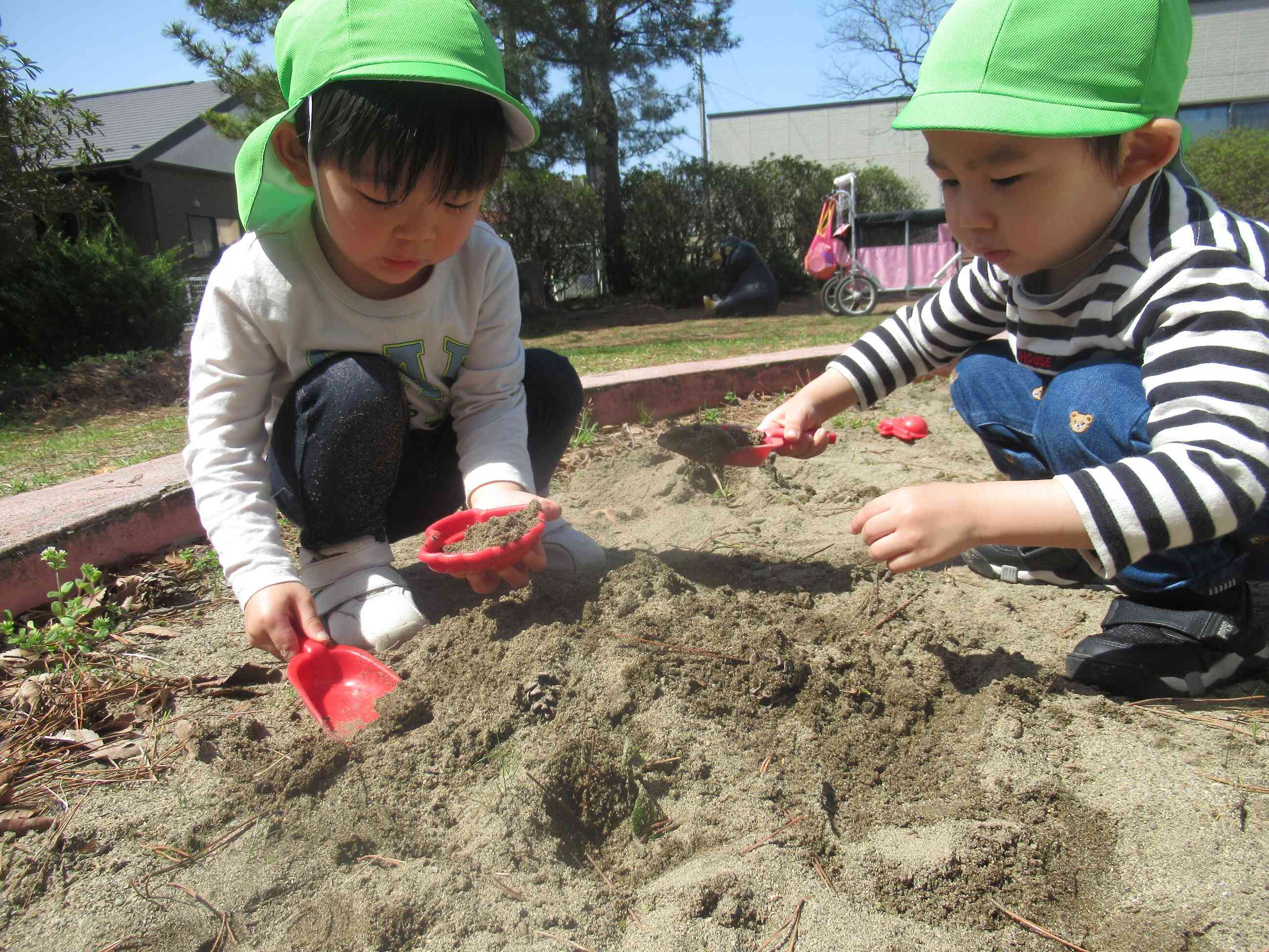 松ぼっくりで宝探しだよ！