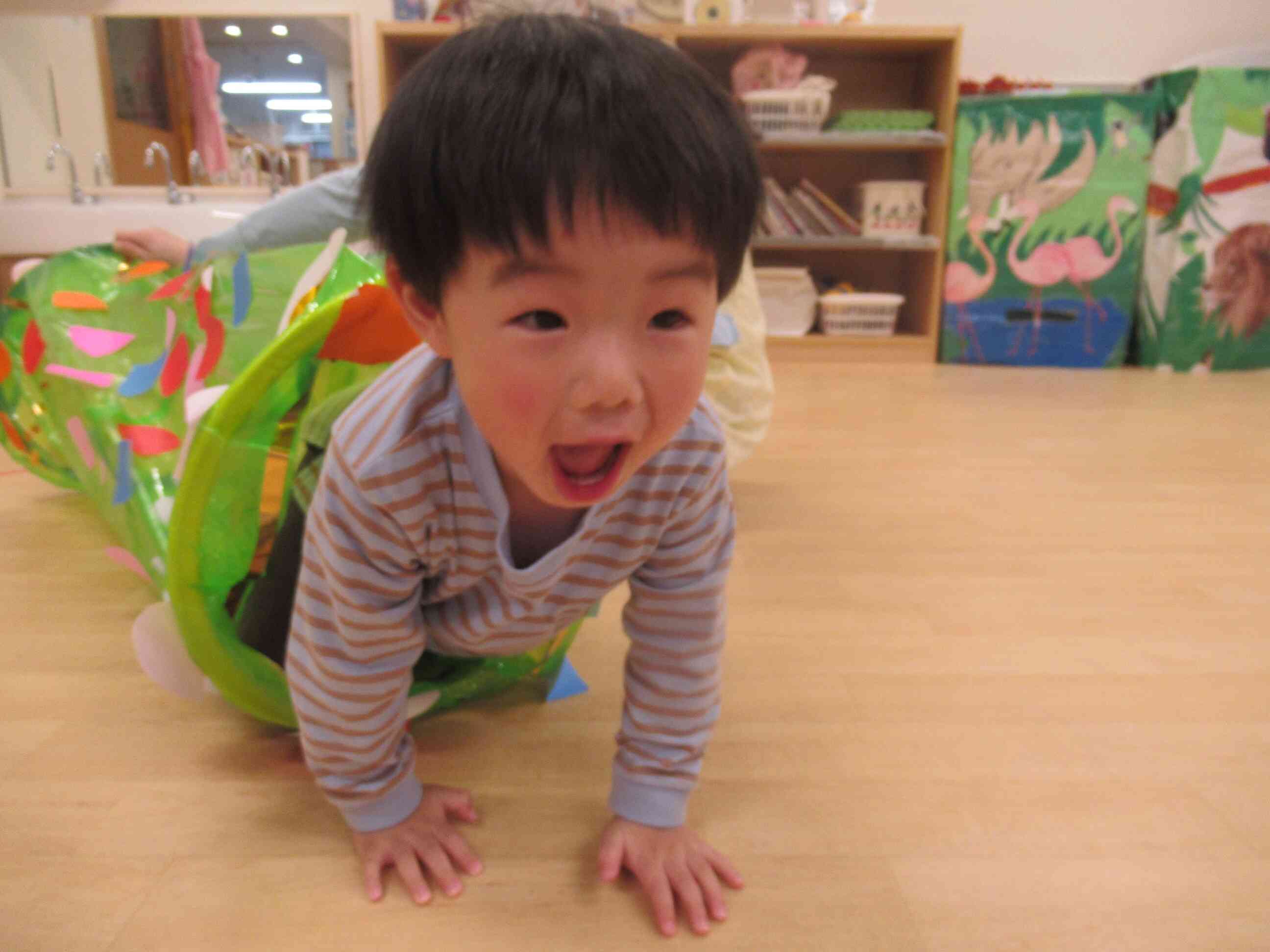 こいのぼりのトンネルに・・