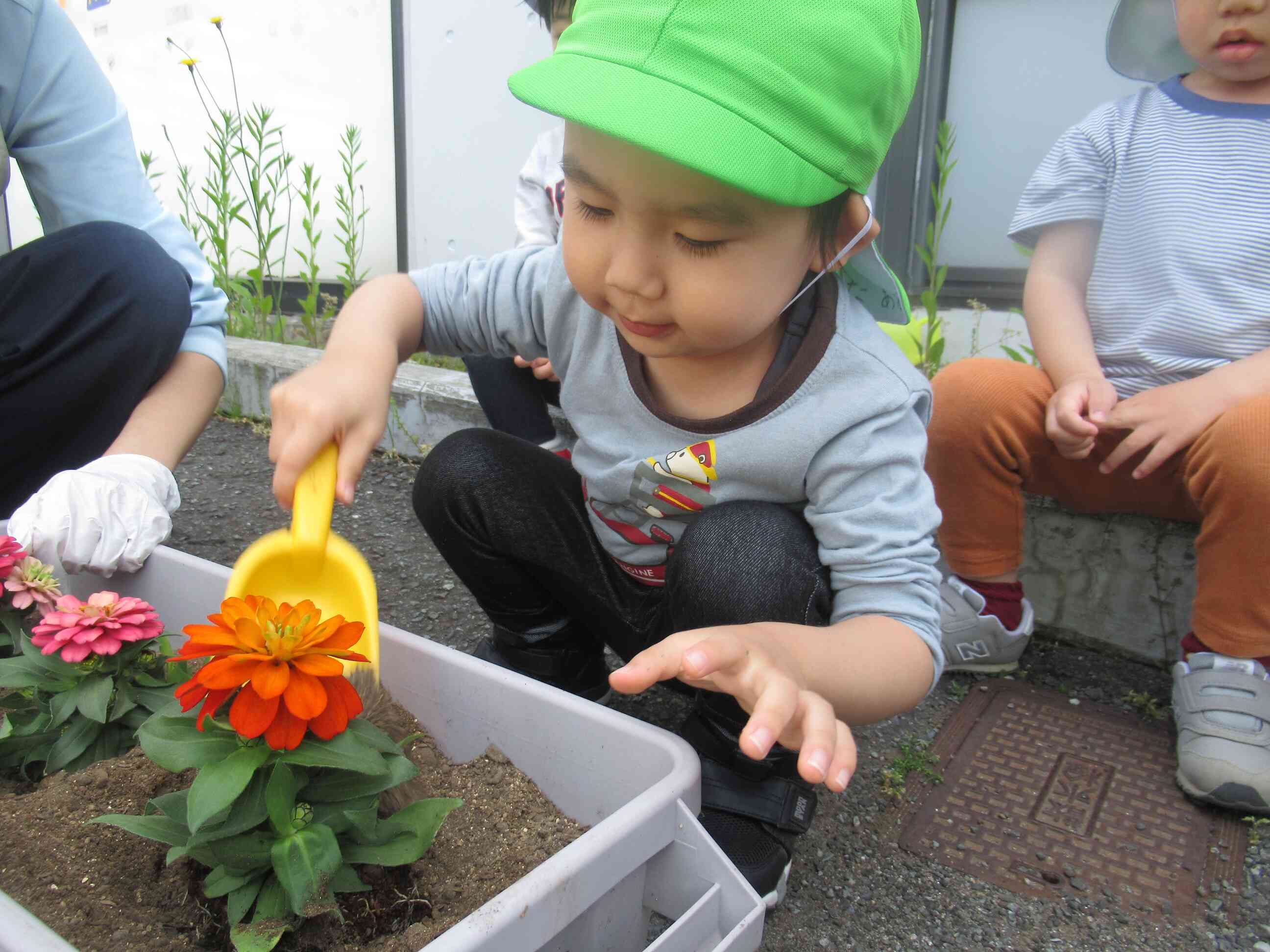 お花に土をかけて