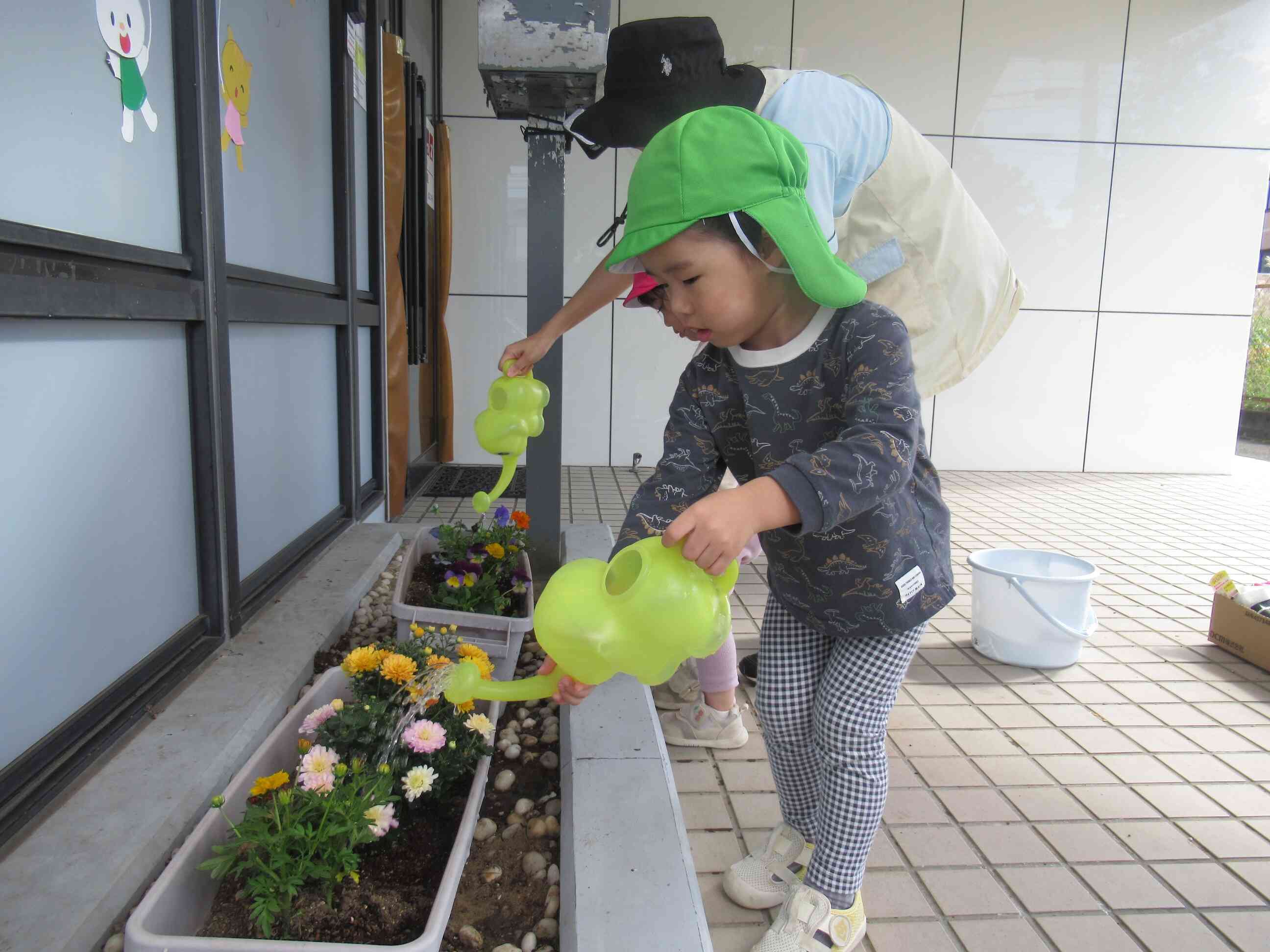 玄関にお花が咲いたよ！