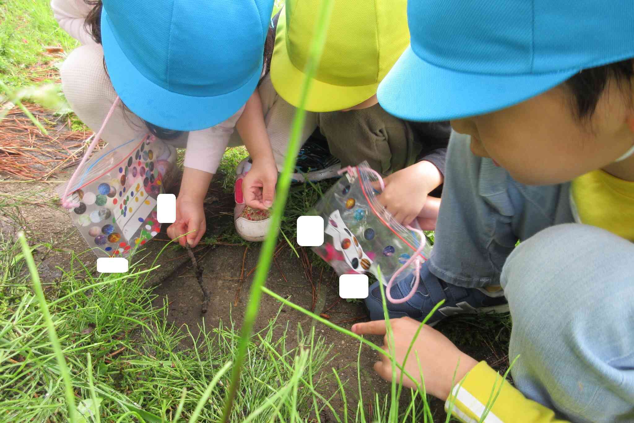 「この虫はなんだ」