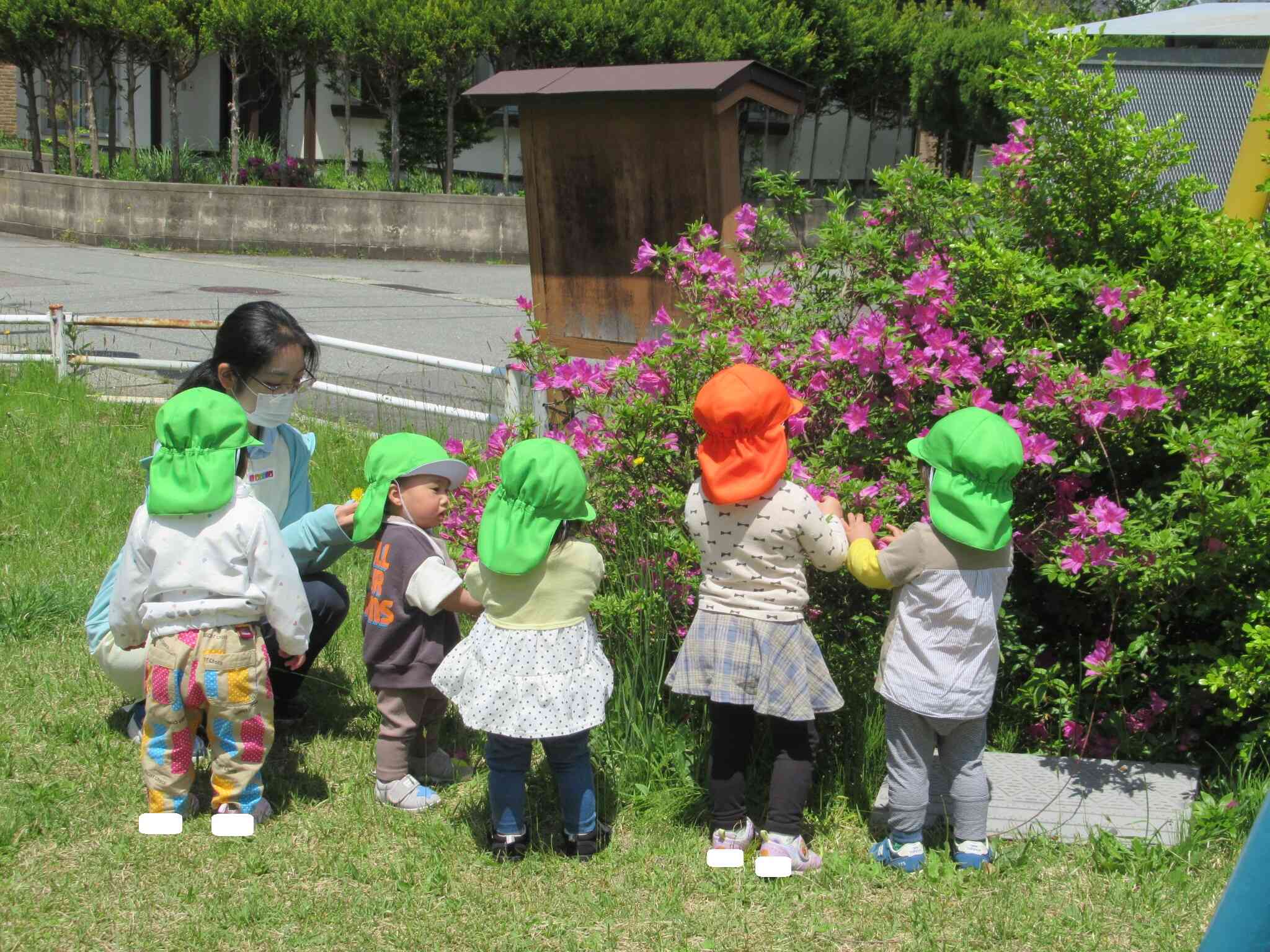 戸外活動：公園で散策活動を自由に楽しんでいます