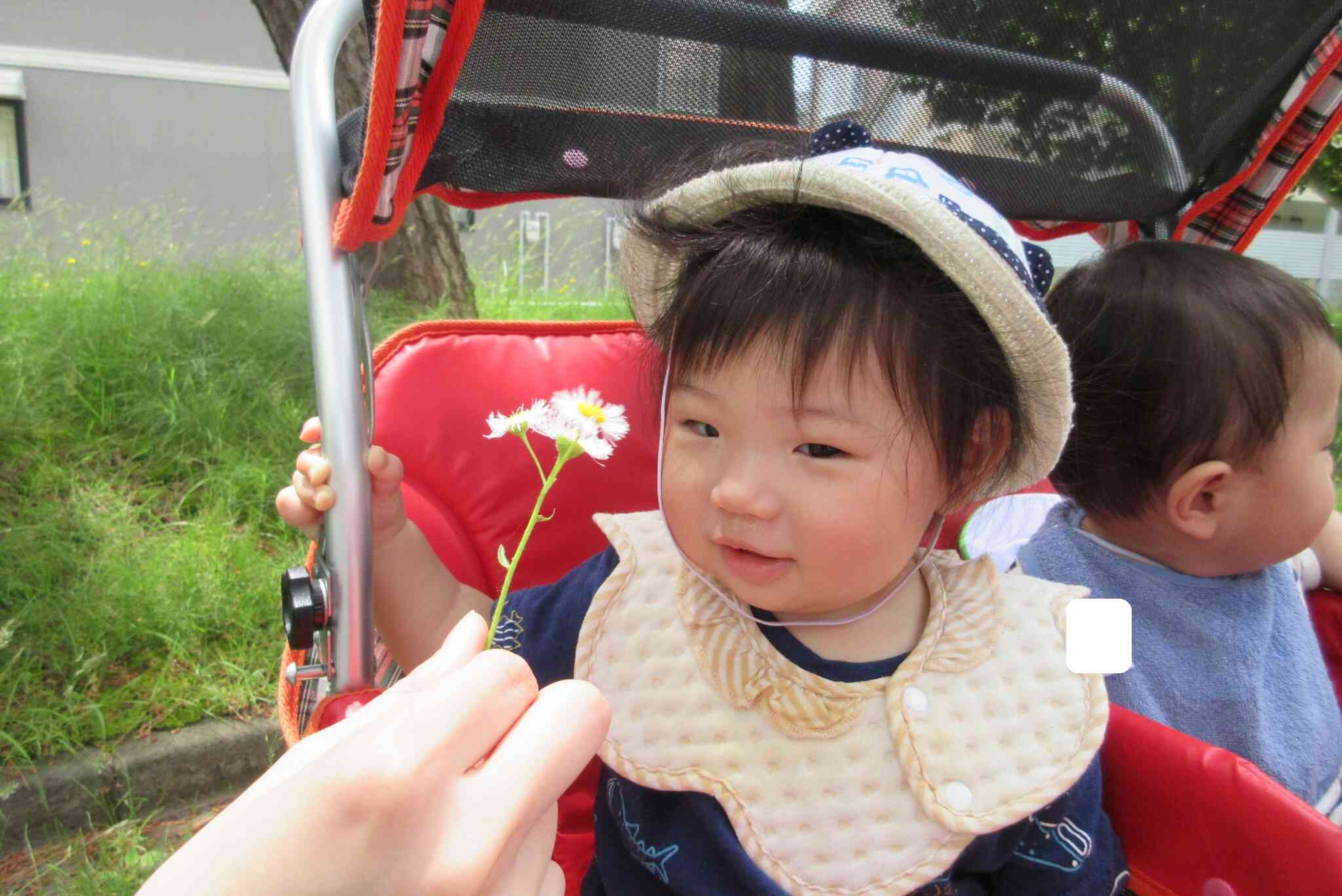 ２歳児のお姉さんが０歳児のお友達にお花をどうぞしていました…嬉しそうだね