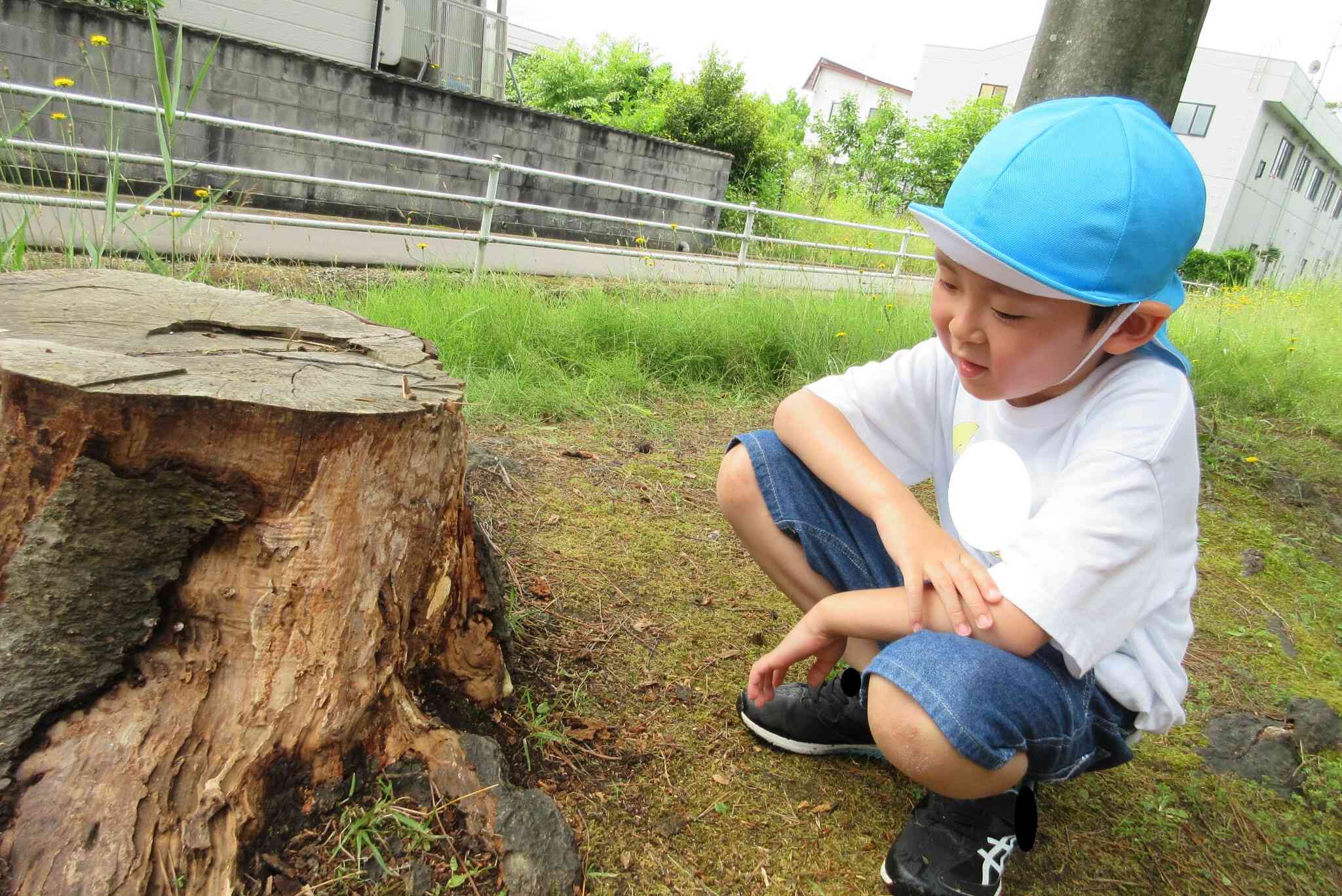 おーい！虫さん…今日は、どこに隠れているのかな？