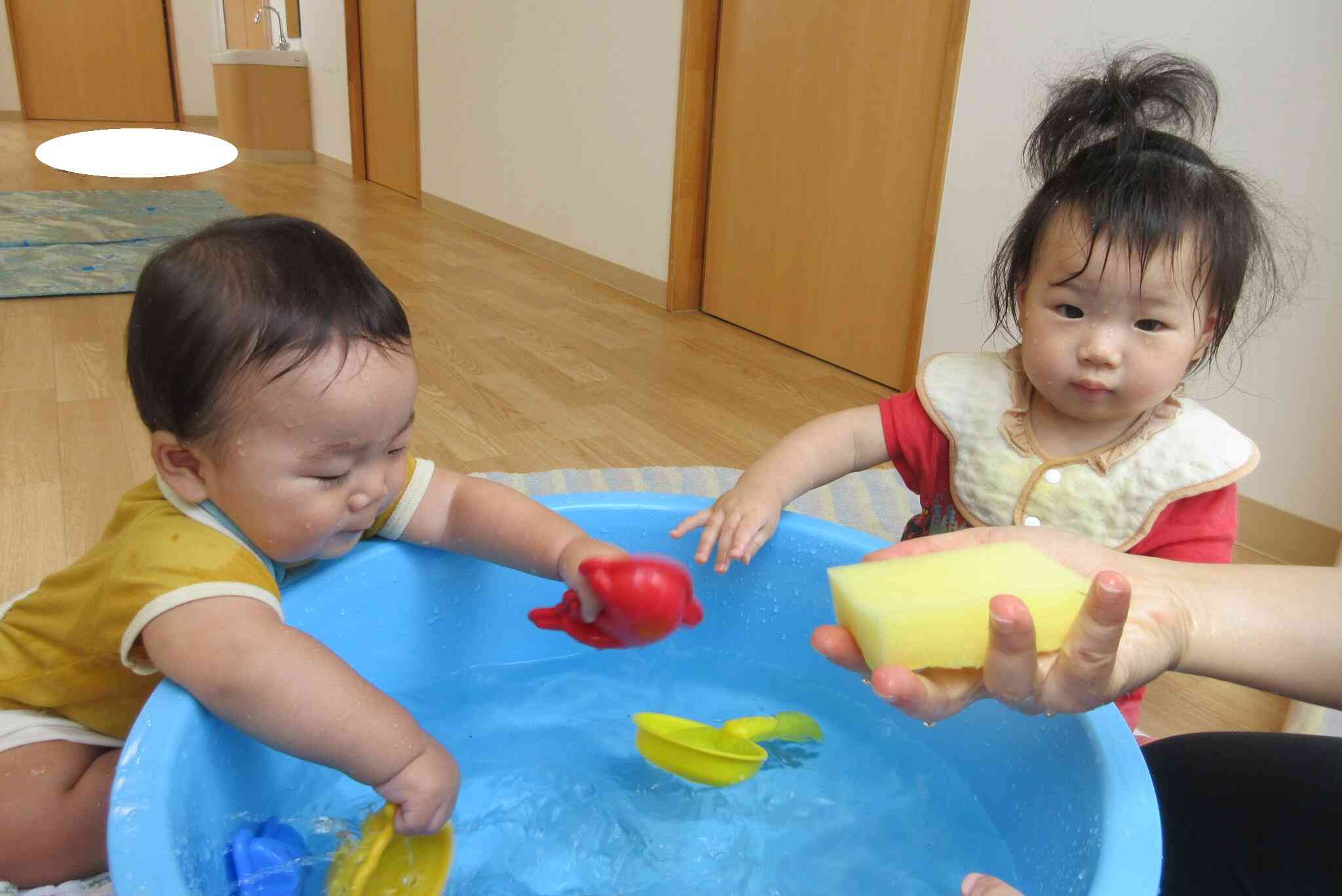 スポンジから水が出てくる様子も気になっています