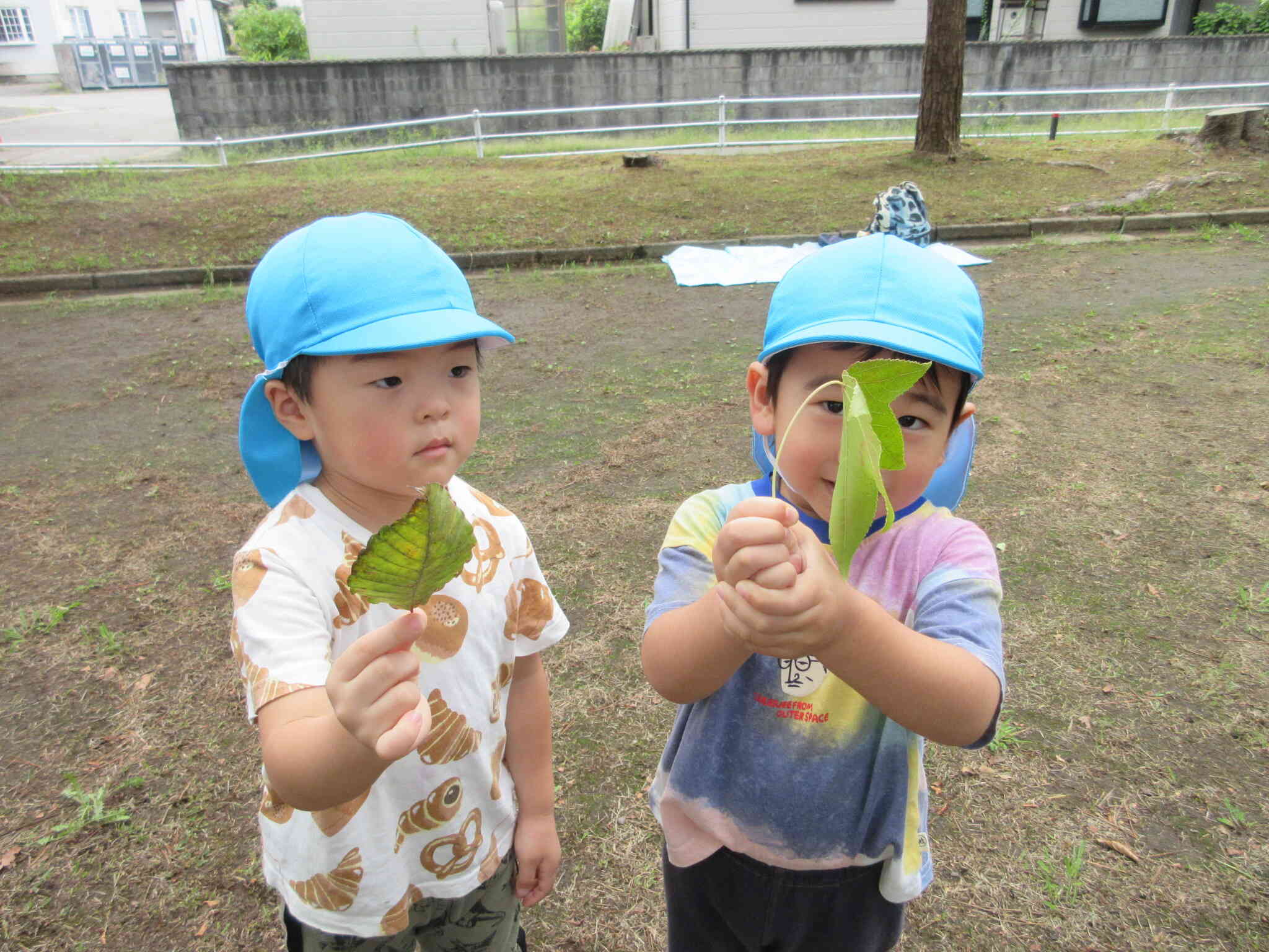 自然物にも変化が