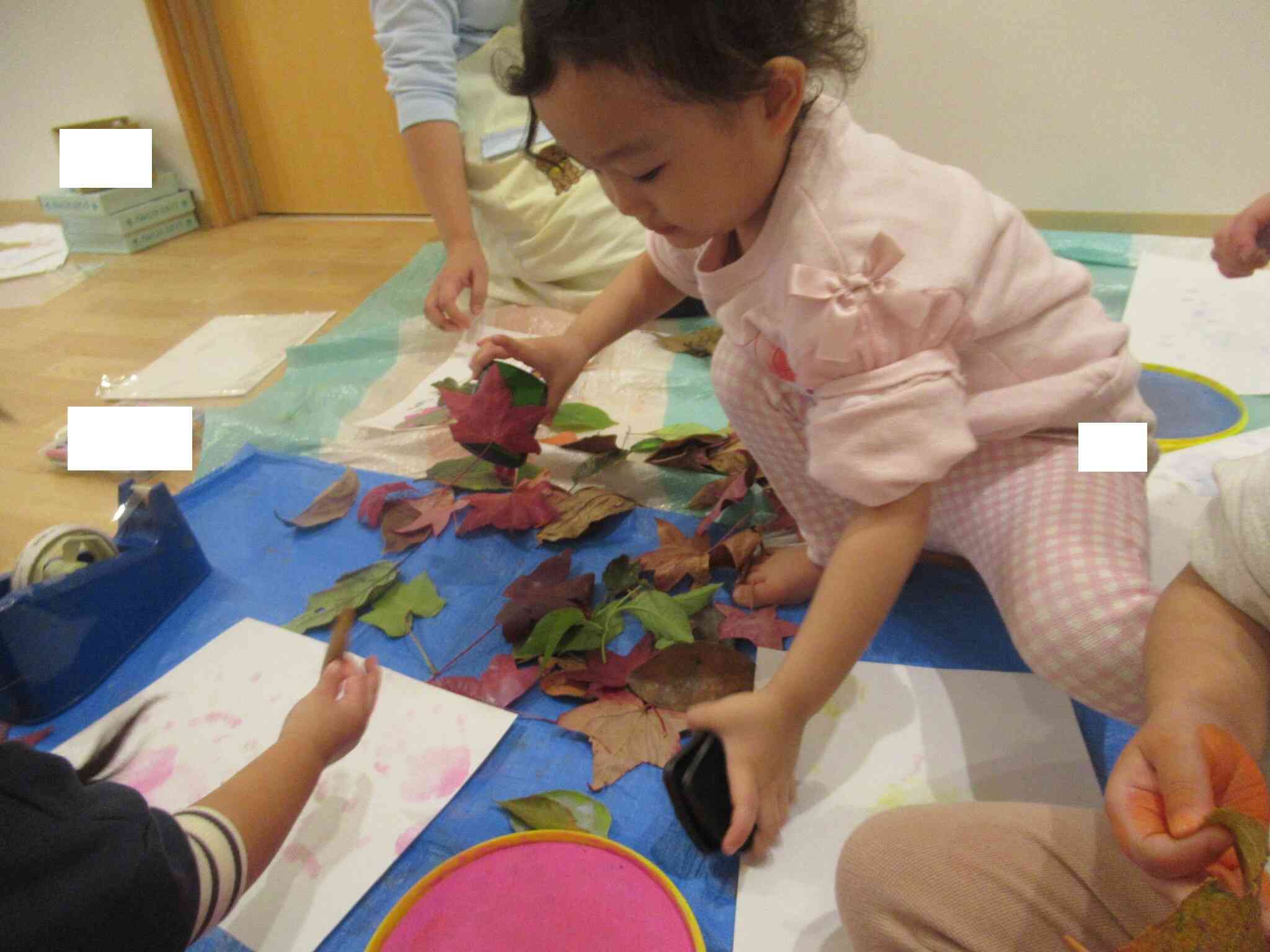 どの落ち葉にしようかな。大きい葉っぱだ。