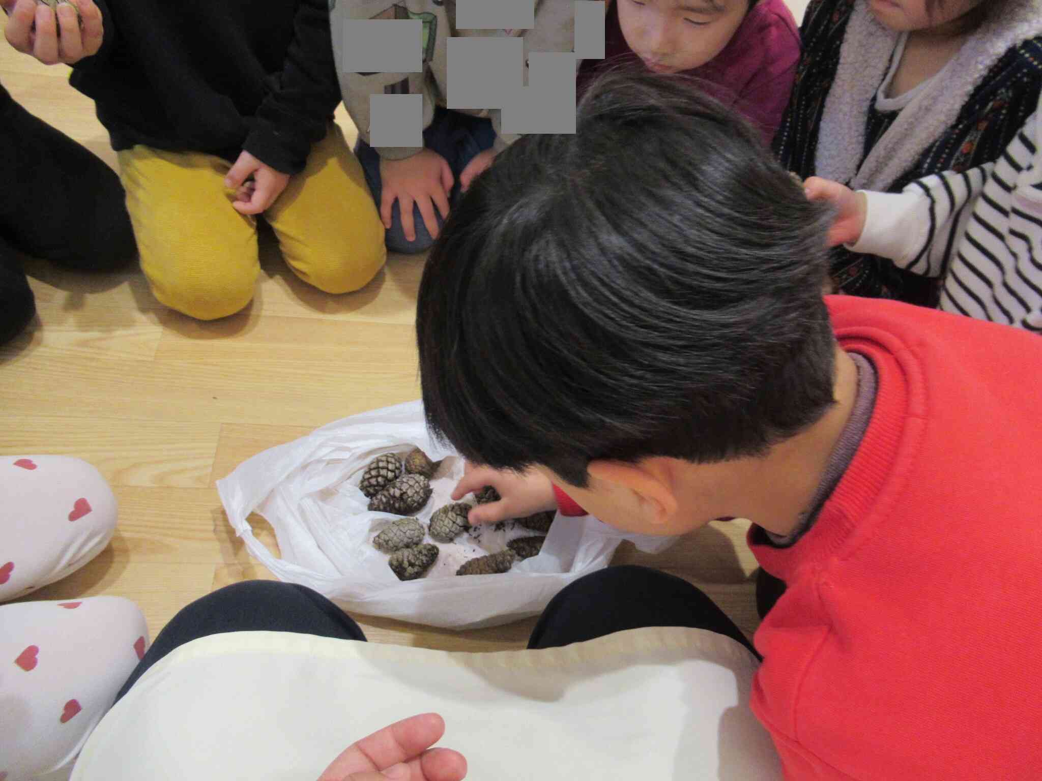 僕はこれにしようかな！と好きな大きさや形のものを選んでいきます。