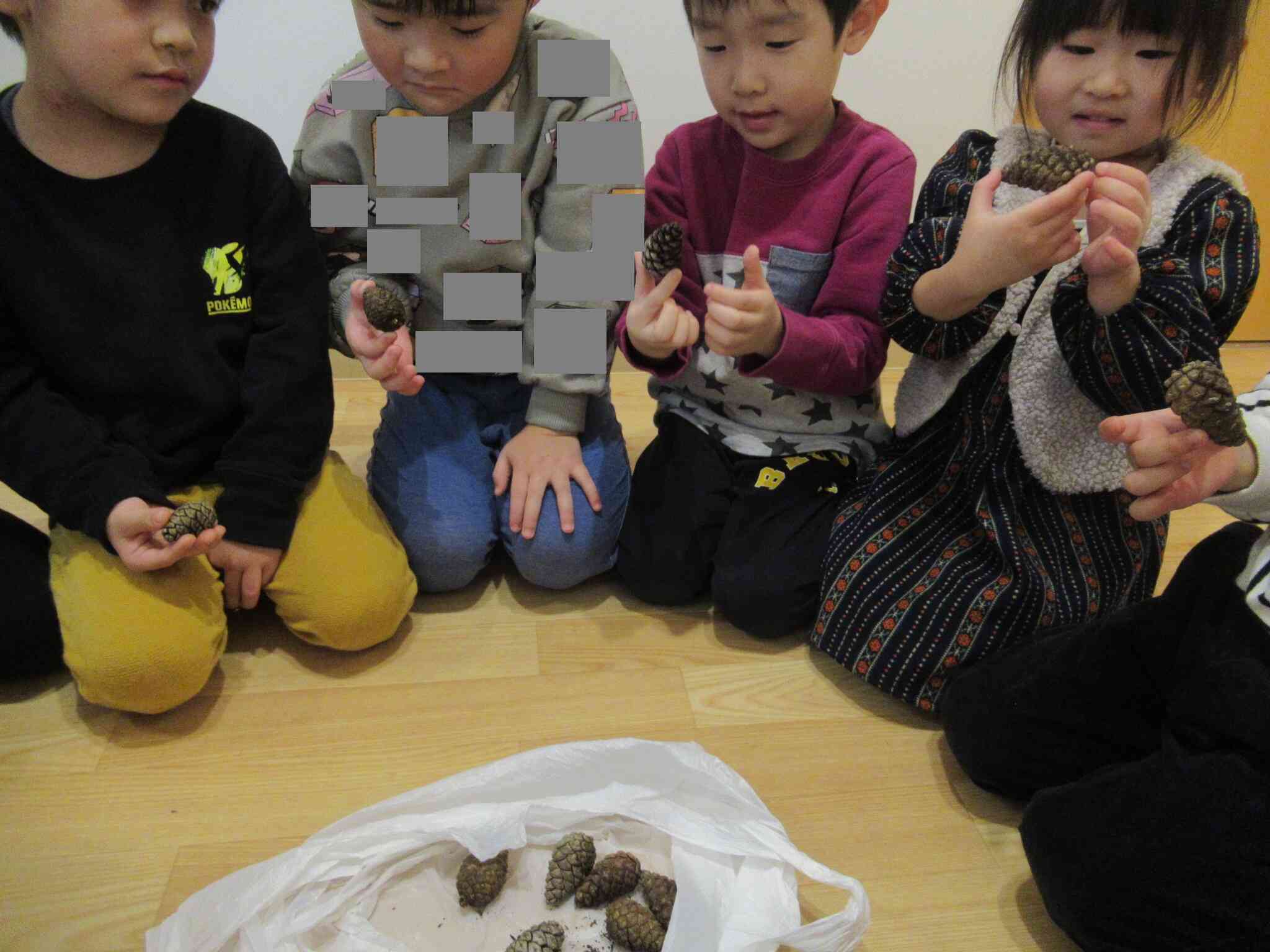 お互いに選んだ松ぼっくりを見せ合っていたお友達。一つ一つ形や大きさが違うことに気づいていました。