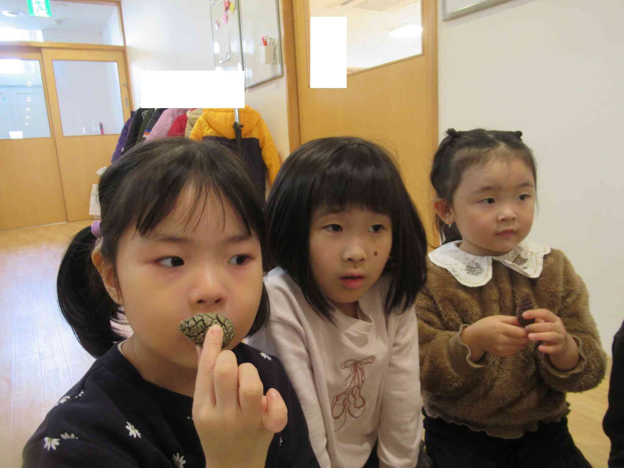 おもいっきりSTEAM(4.5歳児)