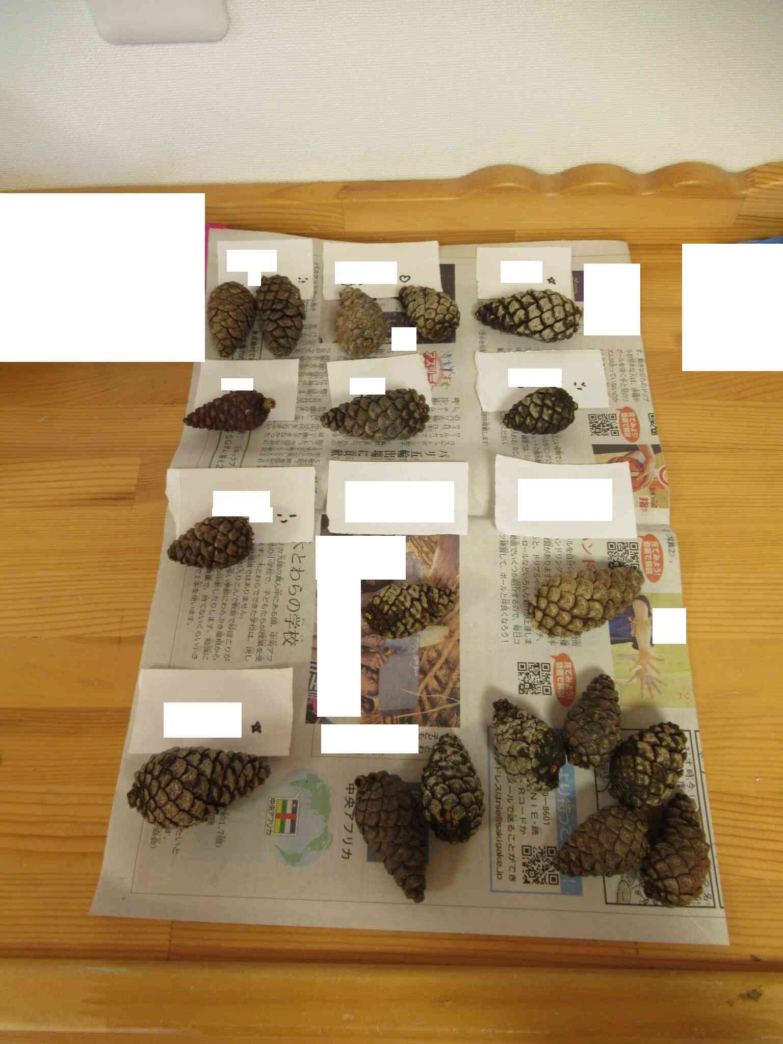 綺麗になったよ！