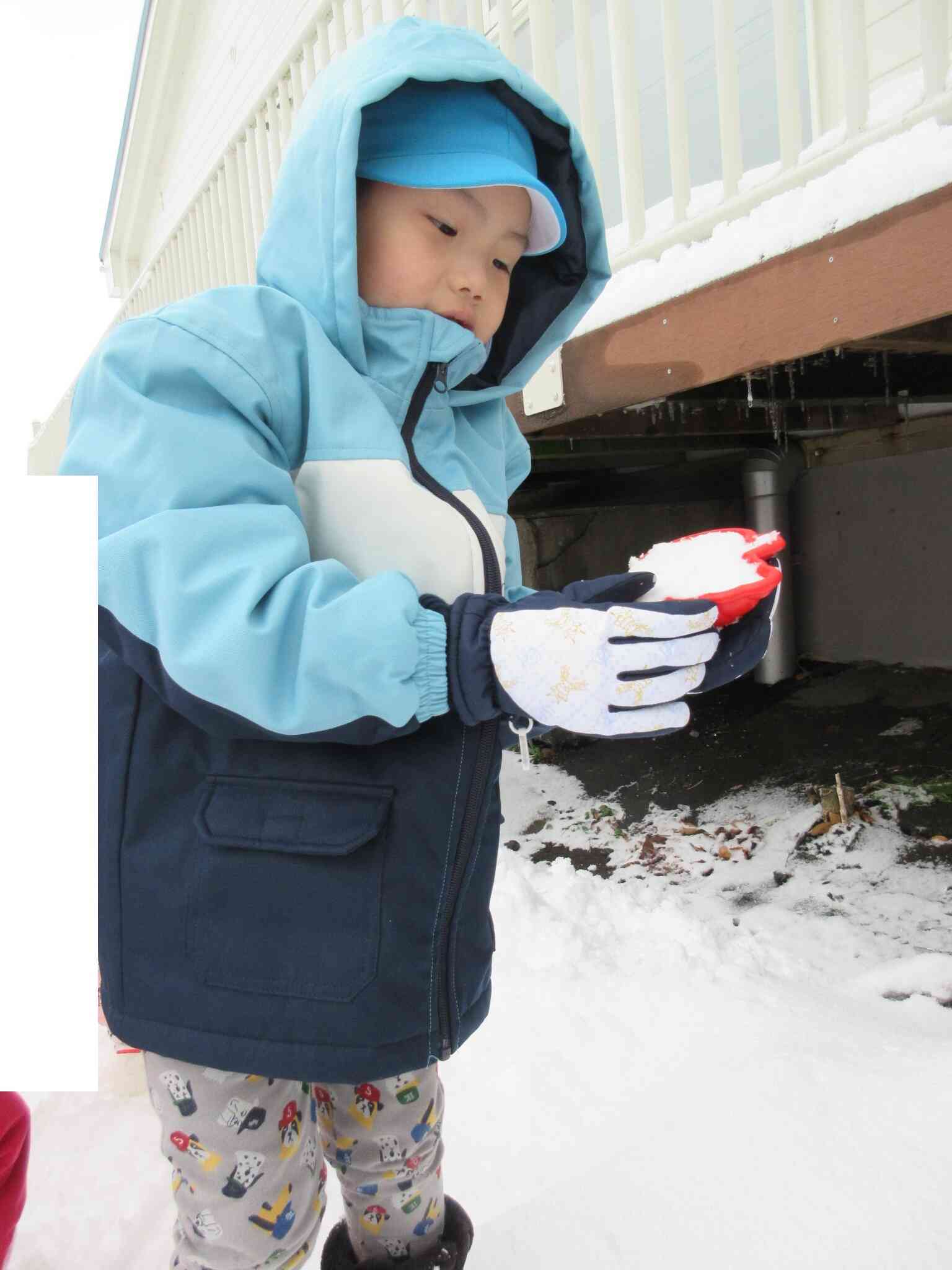 お皿に入れて・・・