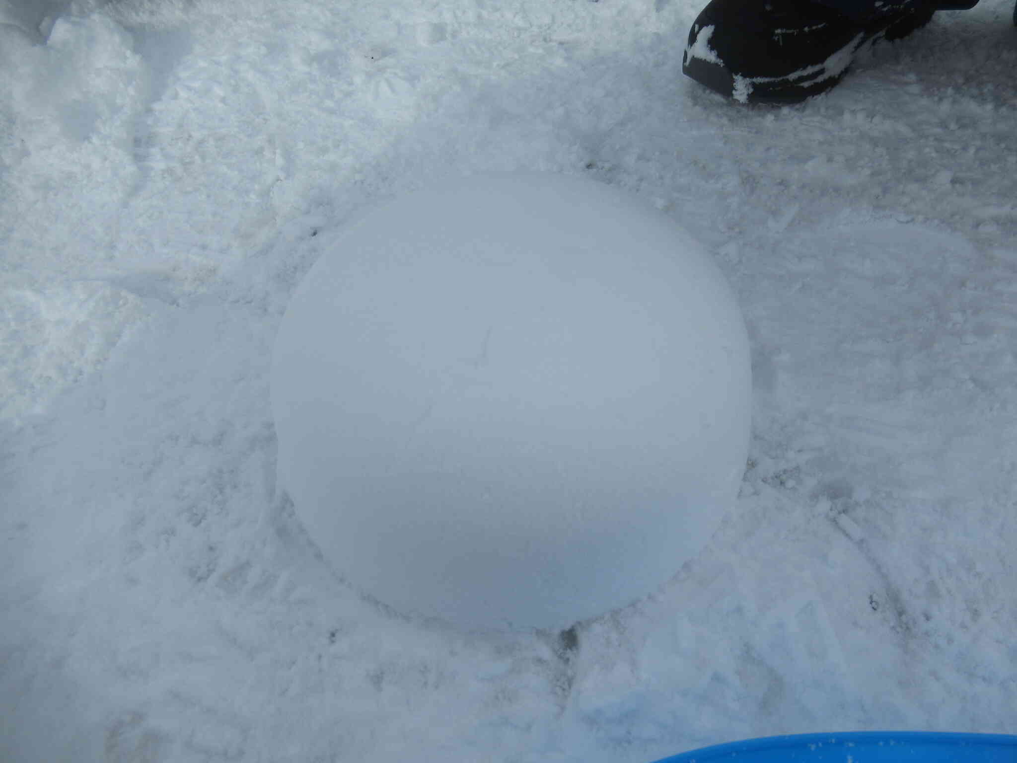 ボウルに雪を入れてそっとひっくり返して・・・こんなに綺麗な形ができました！