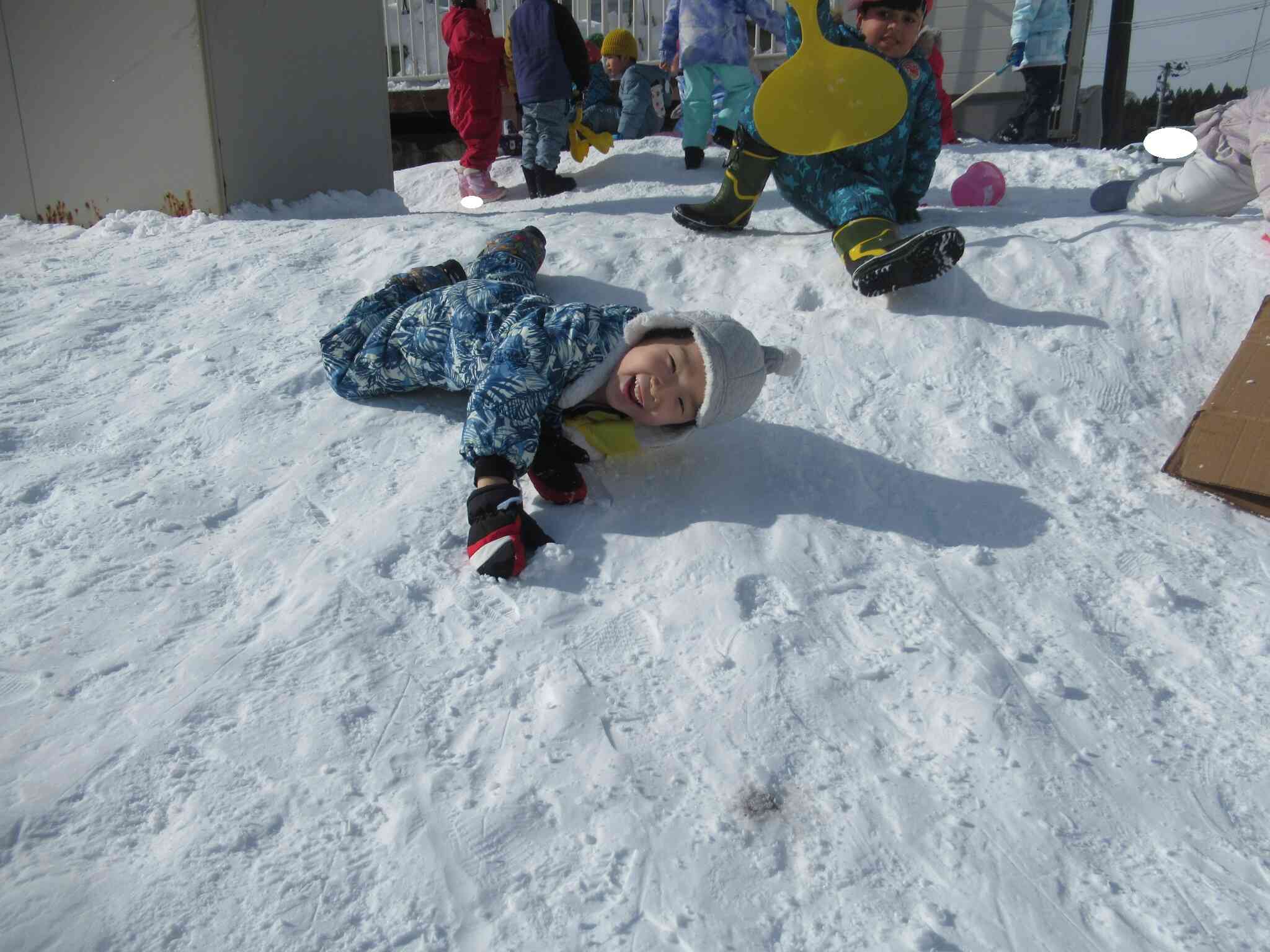 コロコロ転がるの面白い！