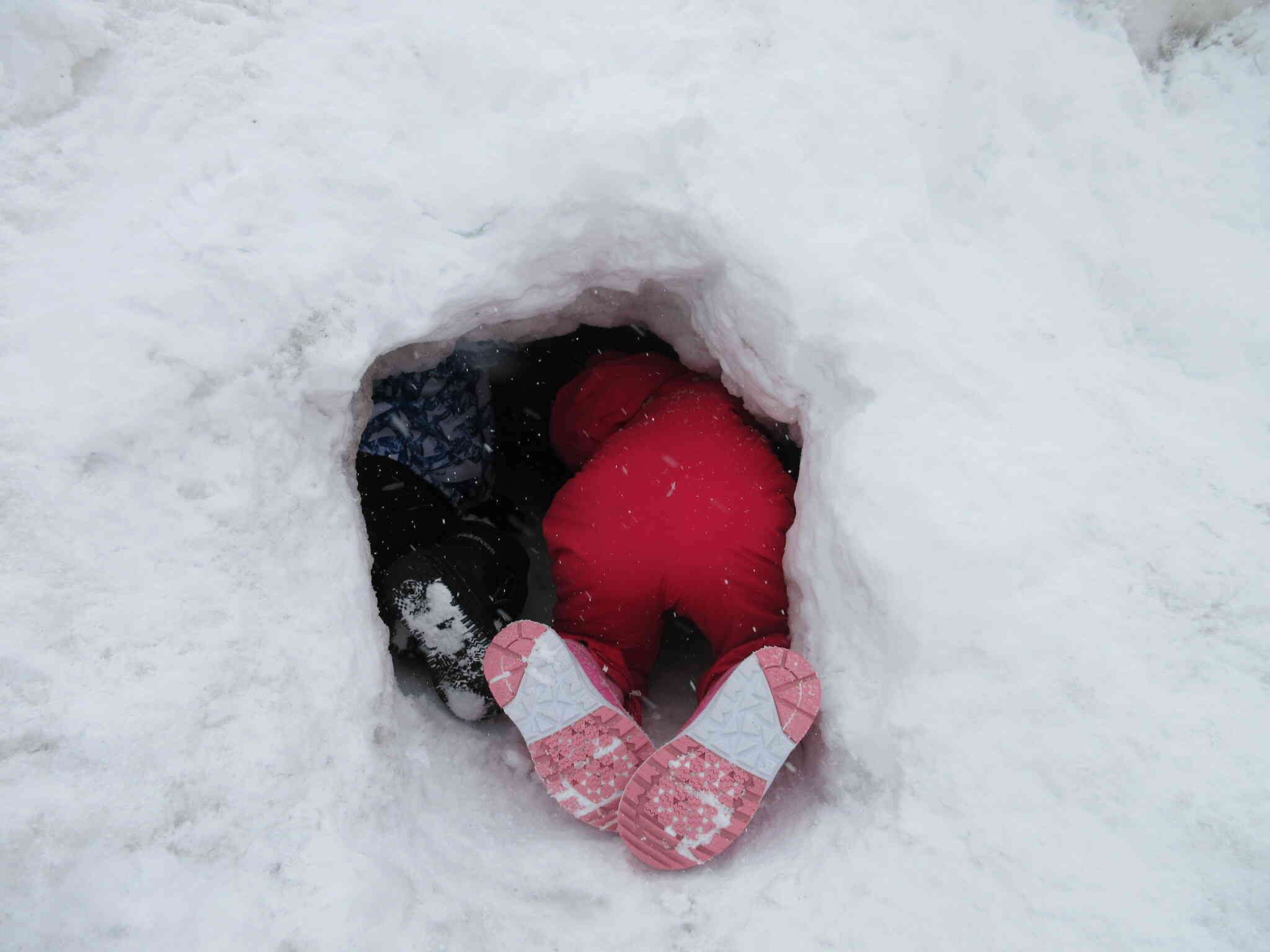 一生懸命…掘り進めていくお友達。お尻だけ見えているのが可愛いです。
