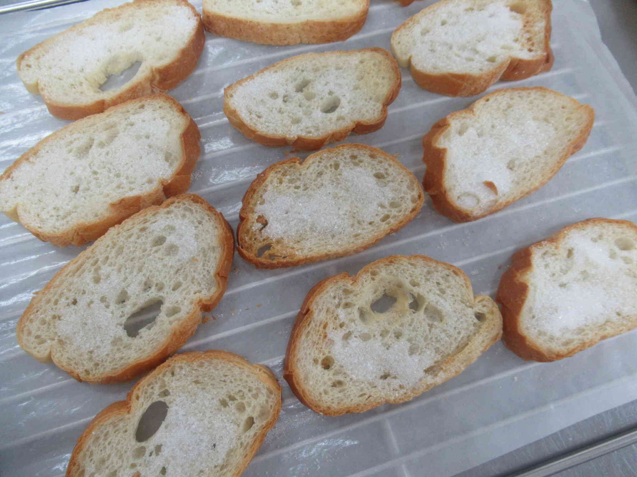 カミカミウィーク②