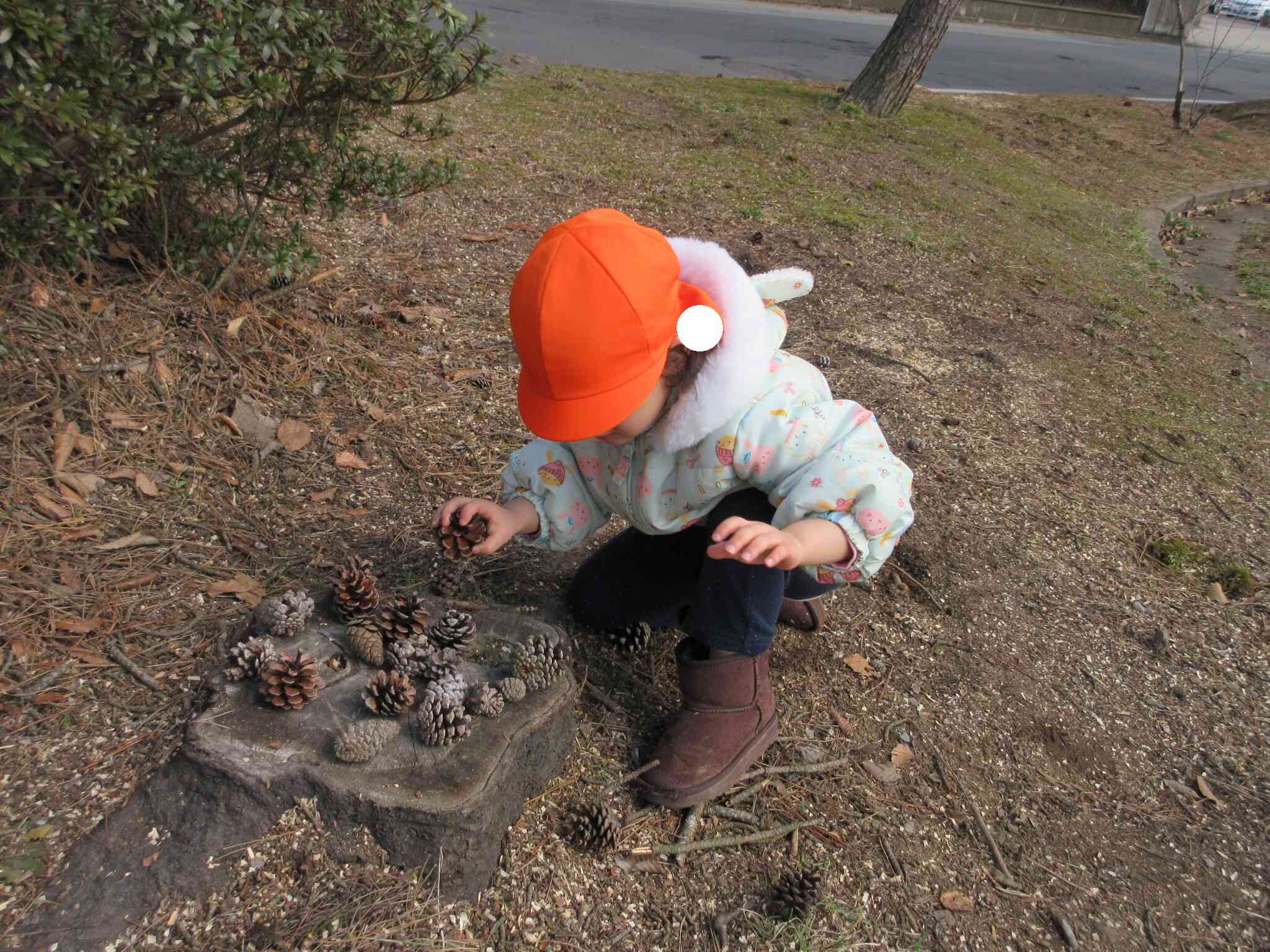 「松ぼっくり屋さんで～す！」