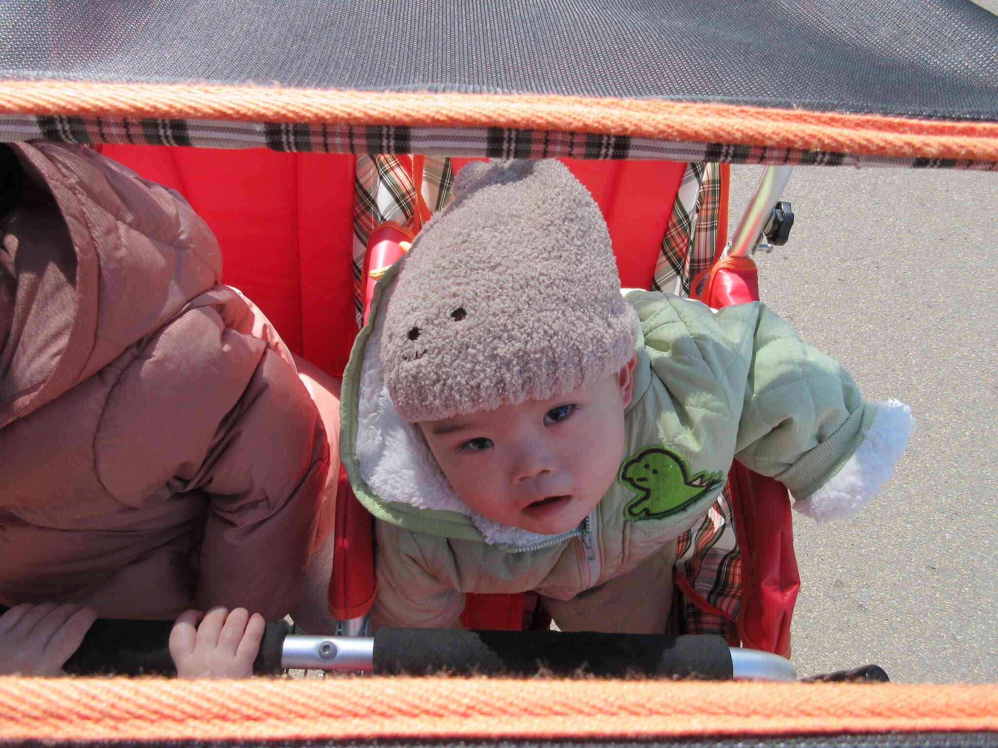 お散歩カー気持ちいいね