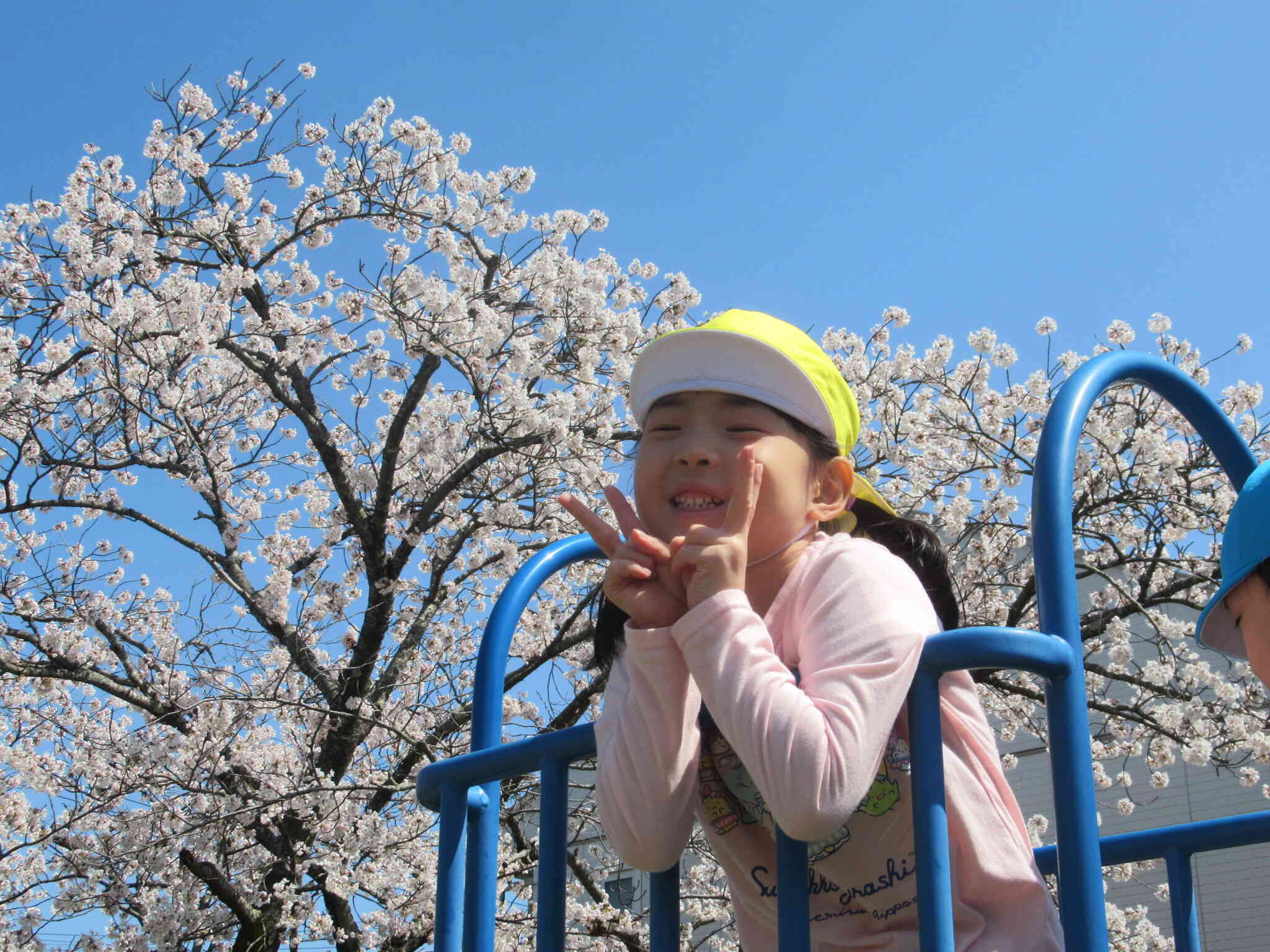 戸外活動：桜満開！！記念撮影！滑り台の周りに保育者がつき、危険のないように撮りました。